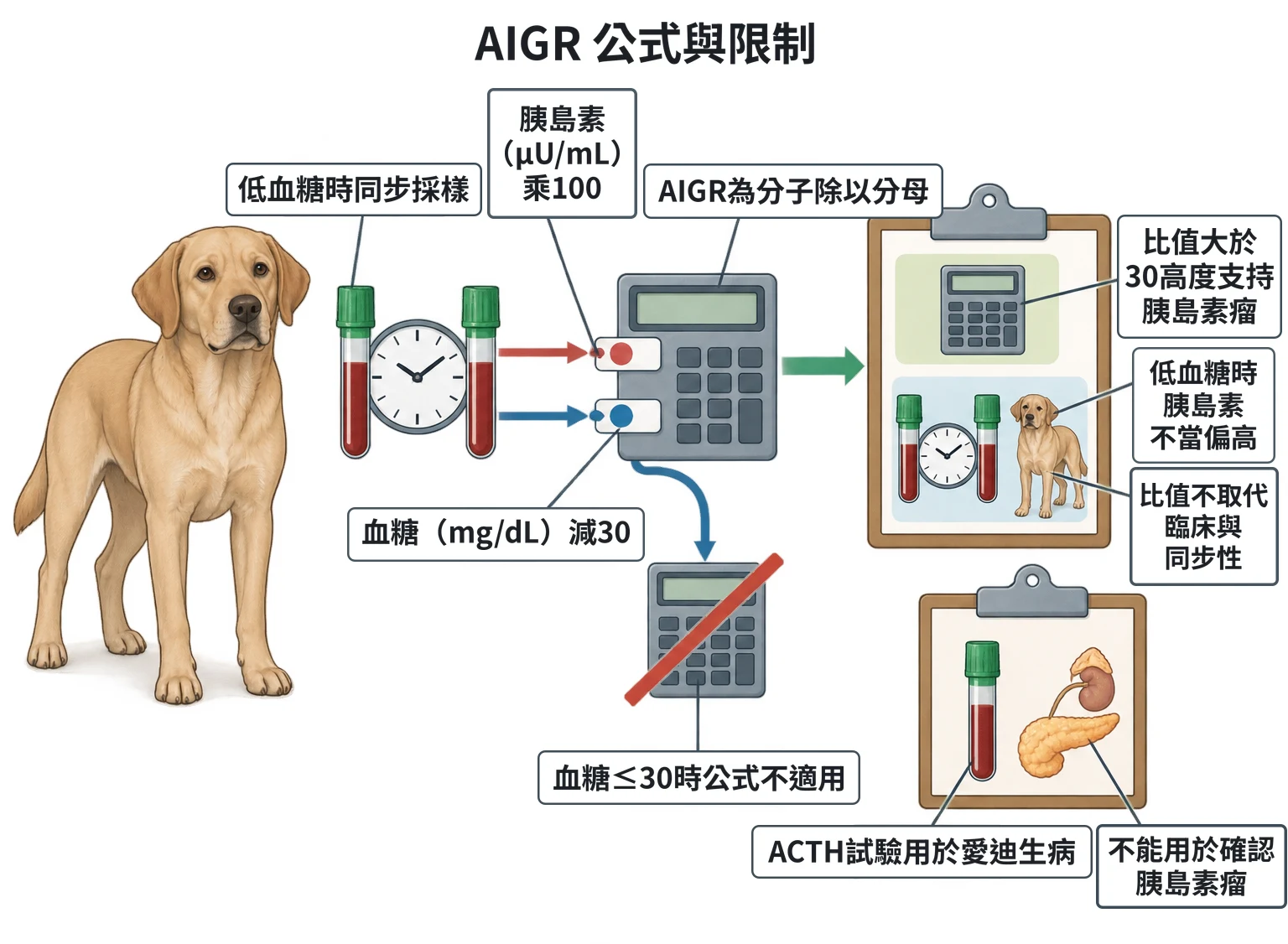 AIGR 公式與限制教學插圖