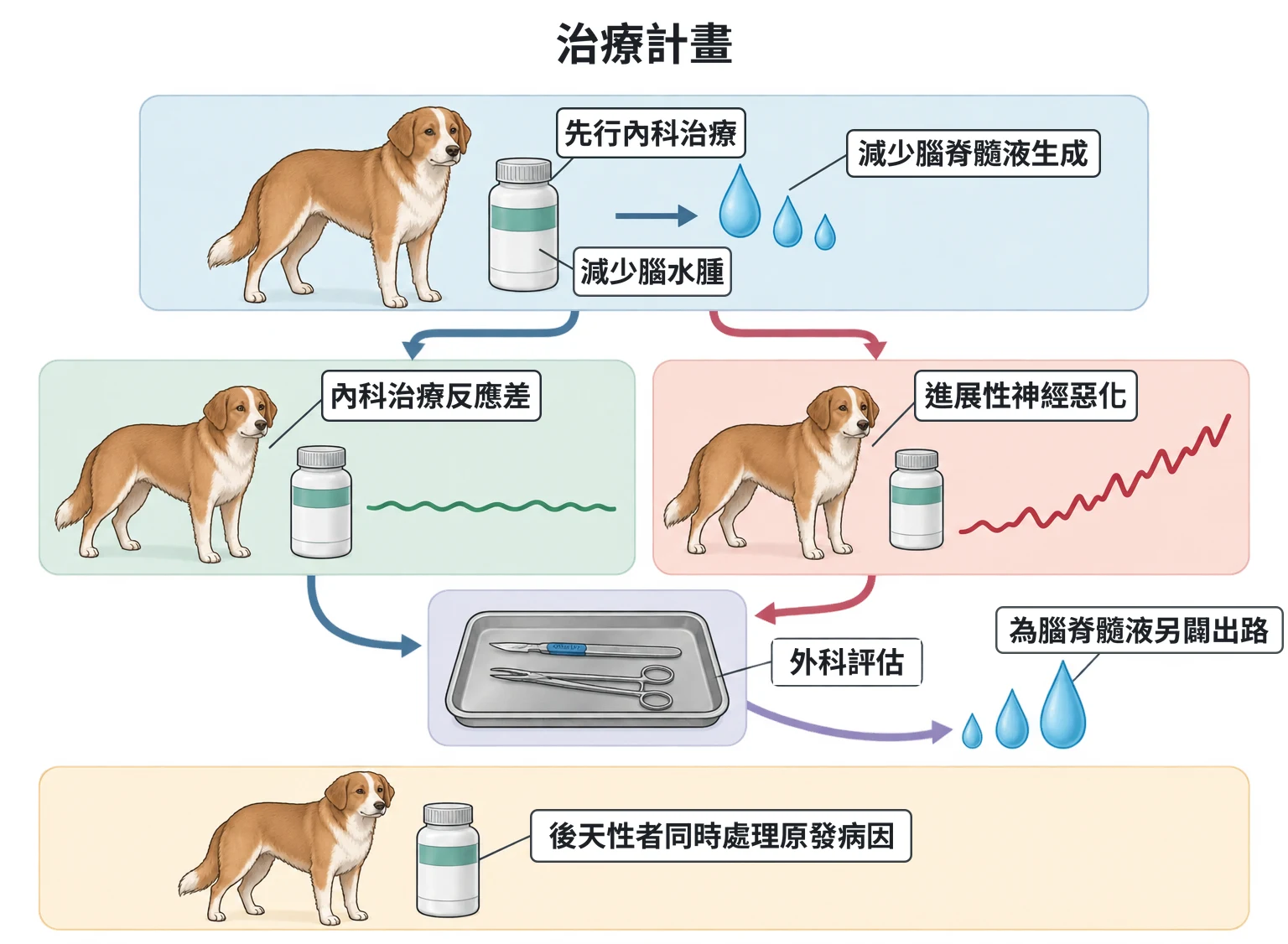 治療計畫教學插圖