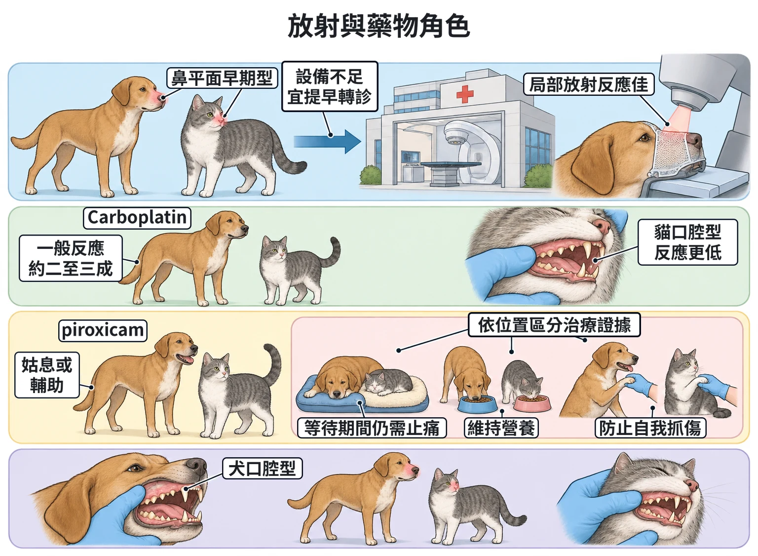 放射與藥物角色教學插圖