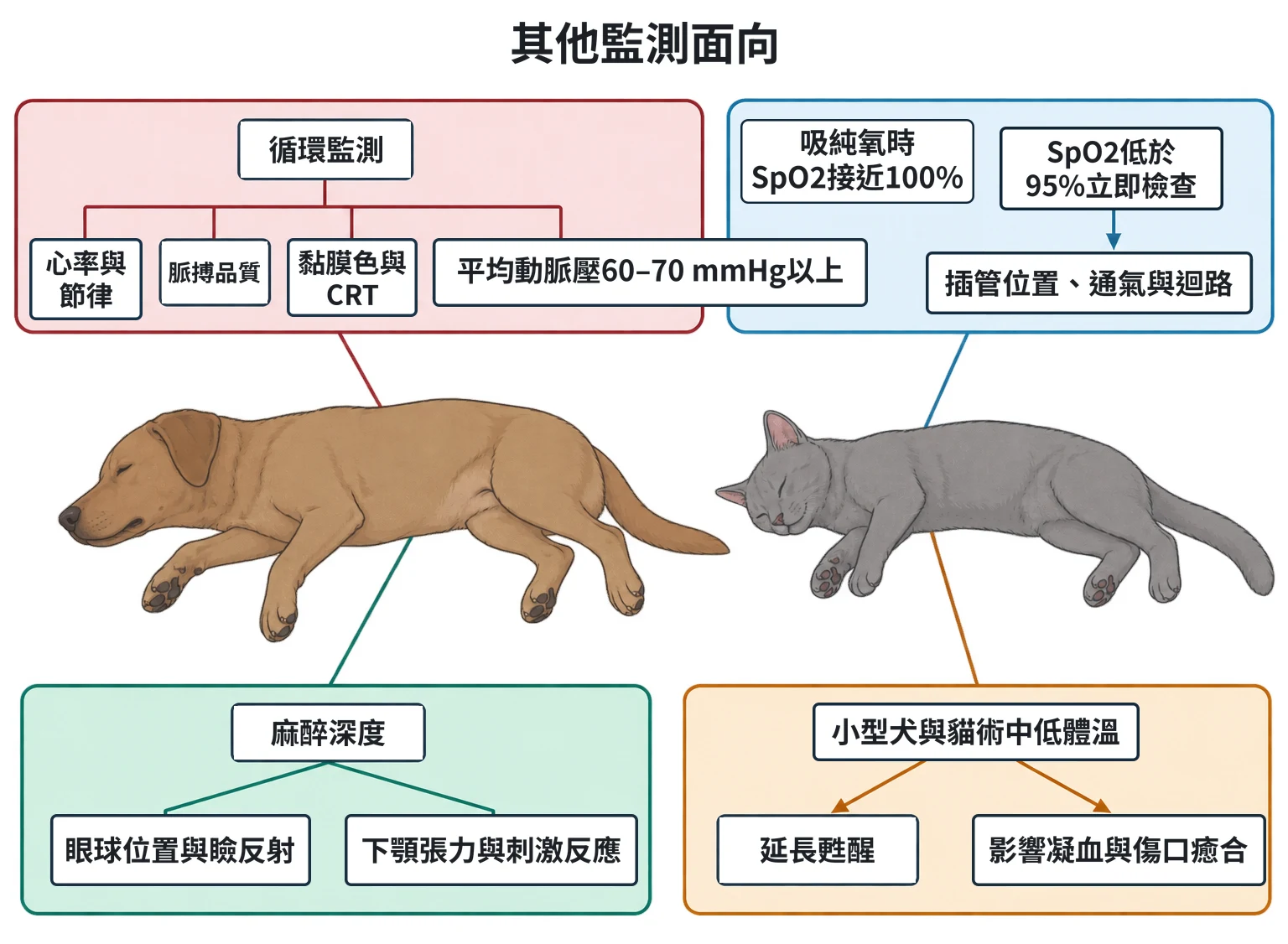 其他監測面向教學插圖