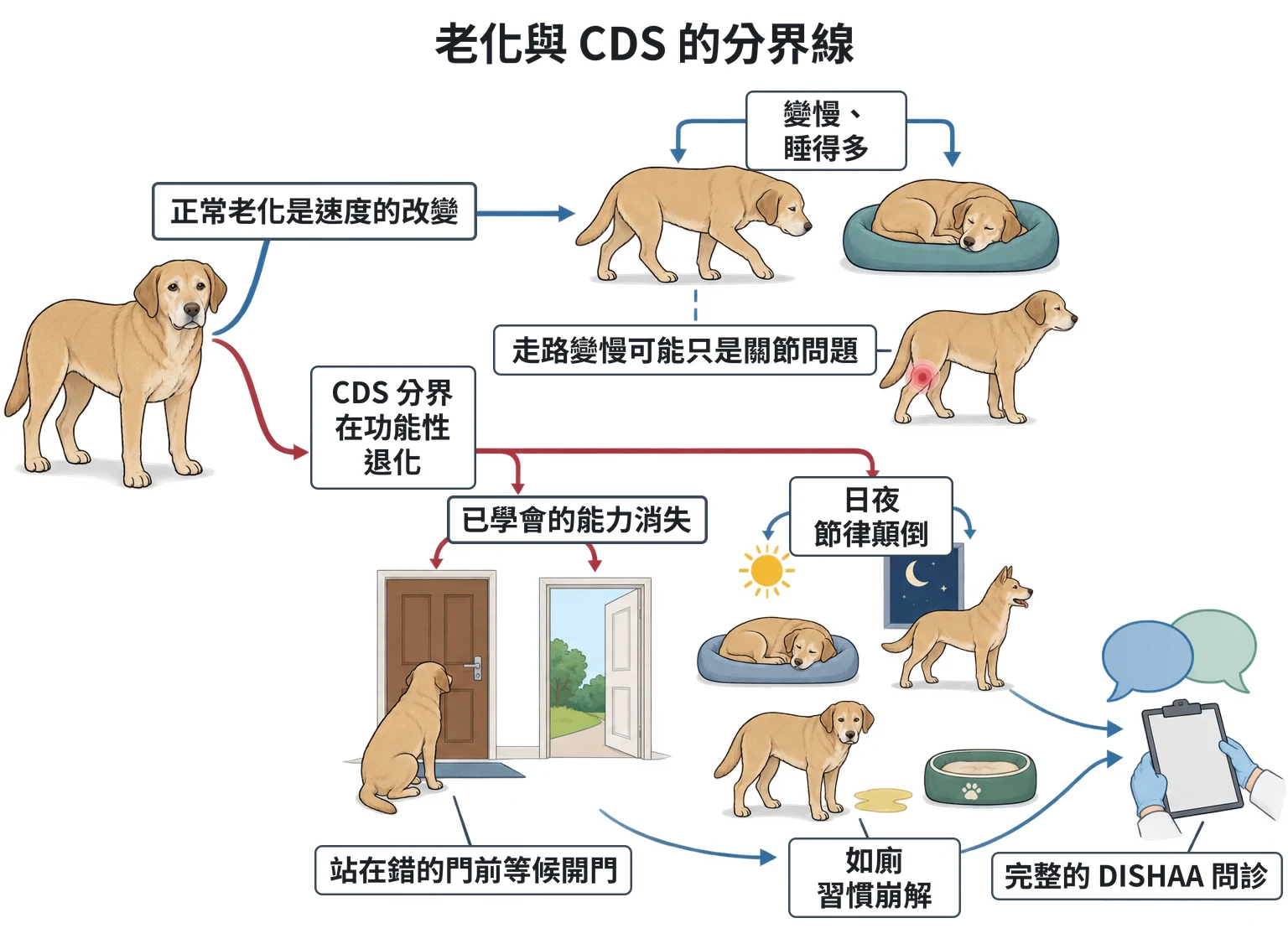 老化與 CDS 的分界線教學插圖