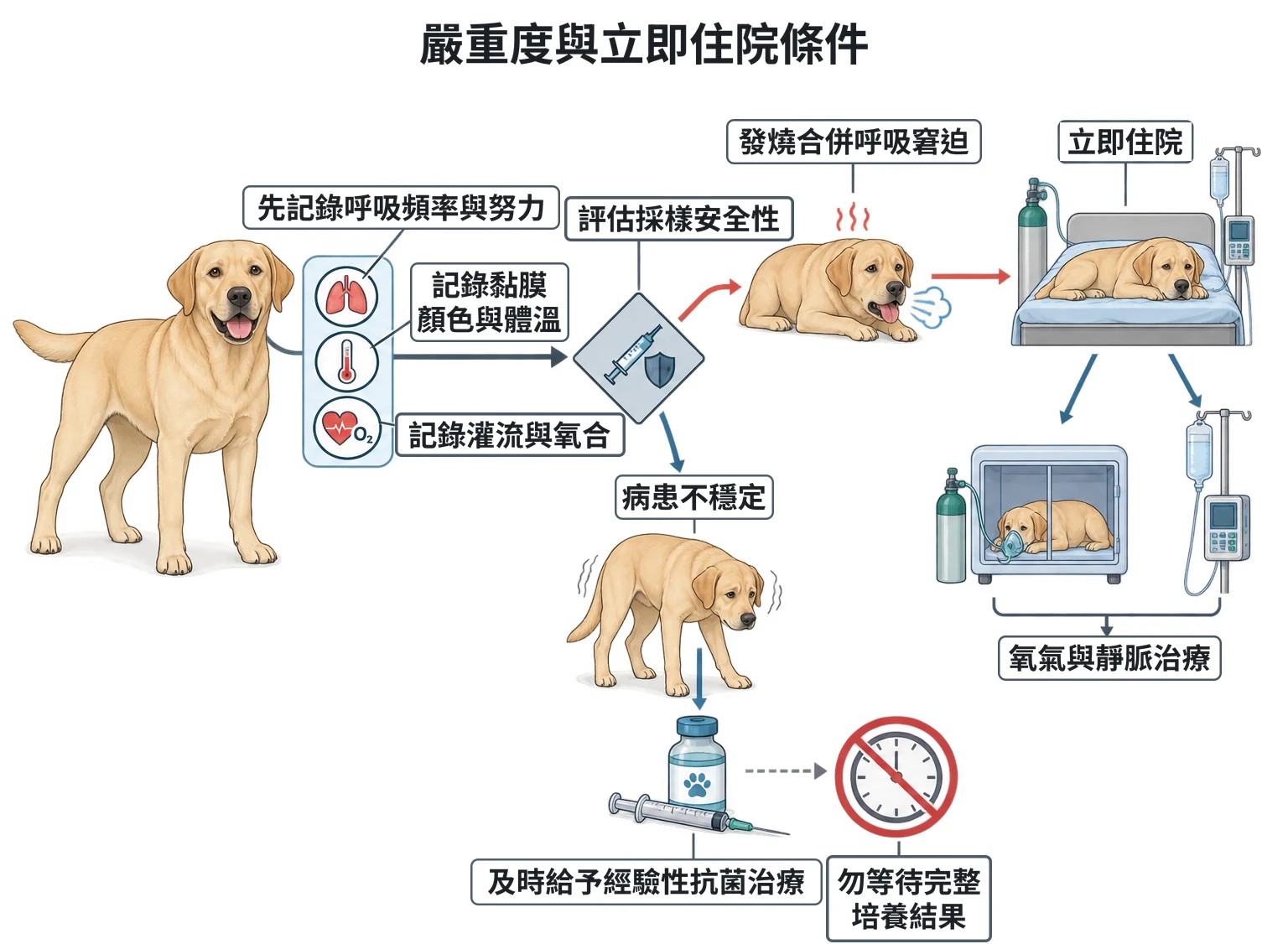 嚴重度與立即住院條件教學插圖