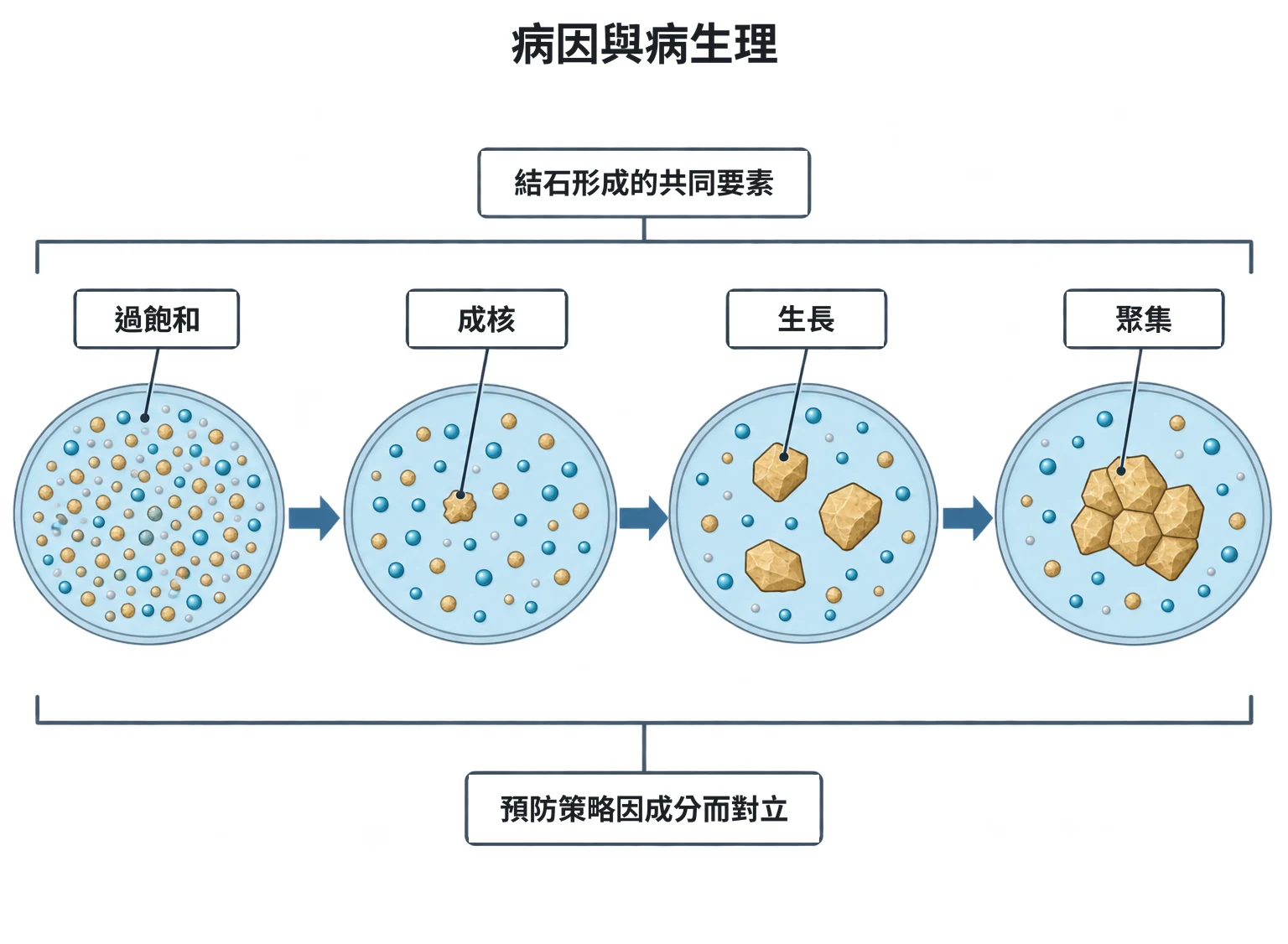 病因與病生理教學插圖