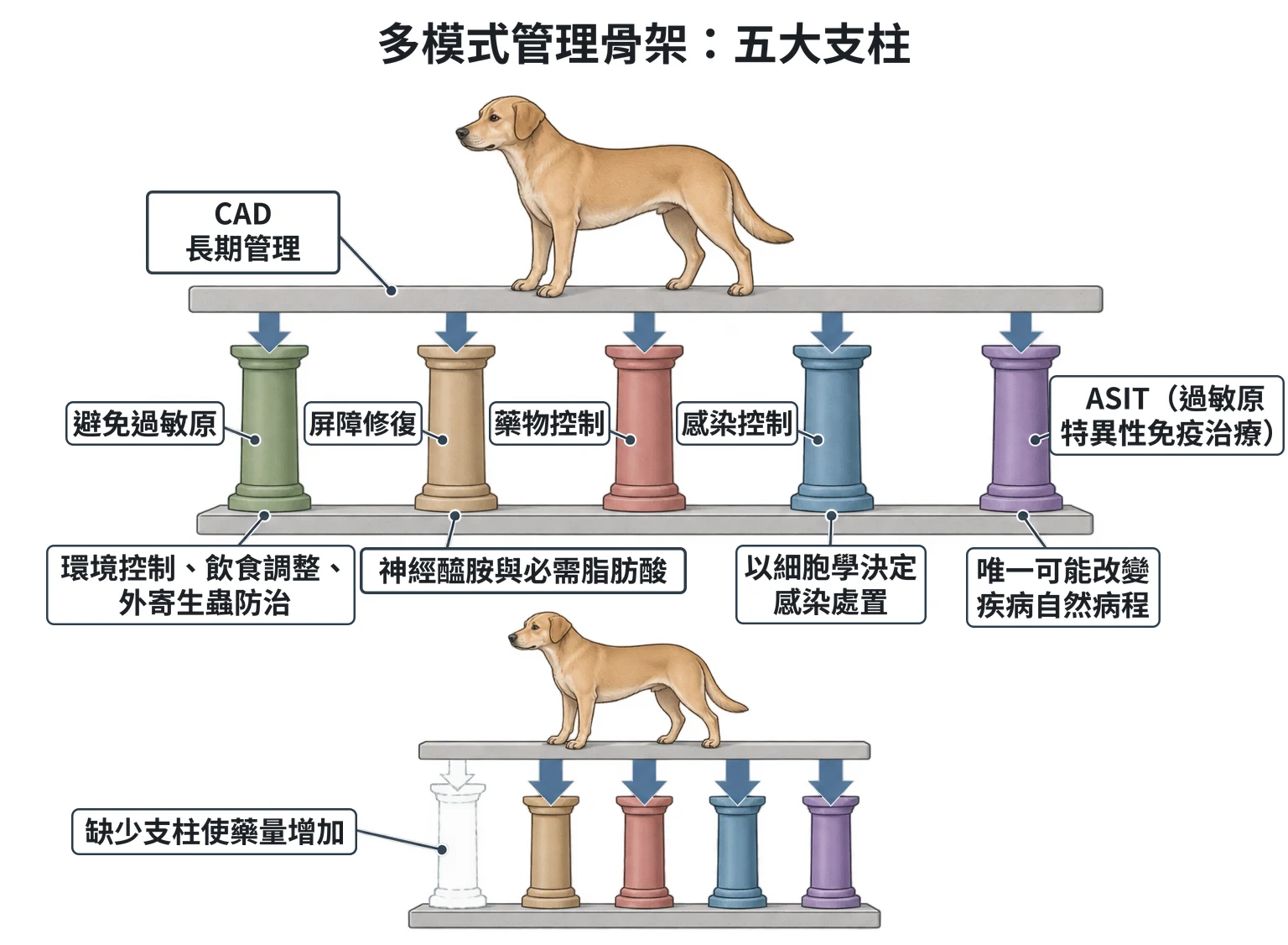 多模式管理骨架:五大支柱教學插圖