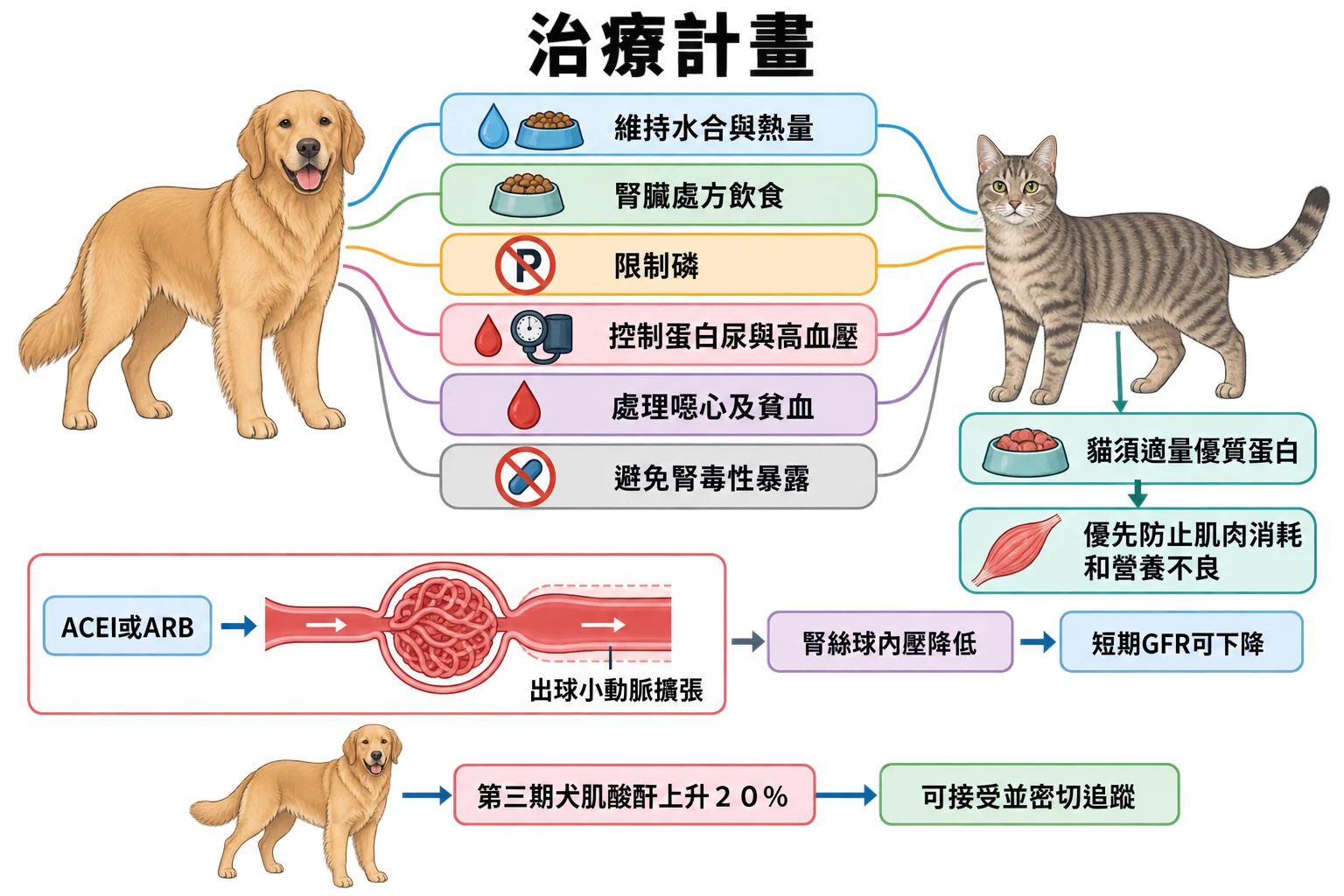 治療計畫教學插圖