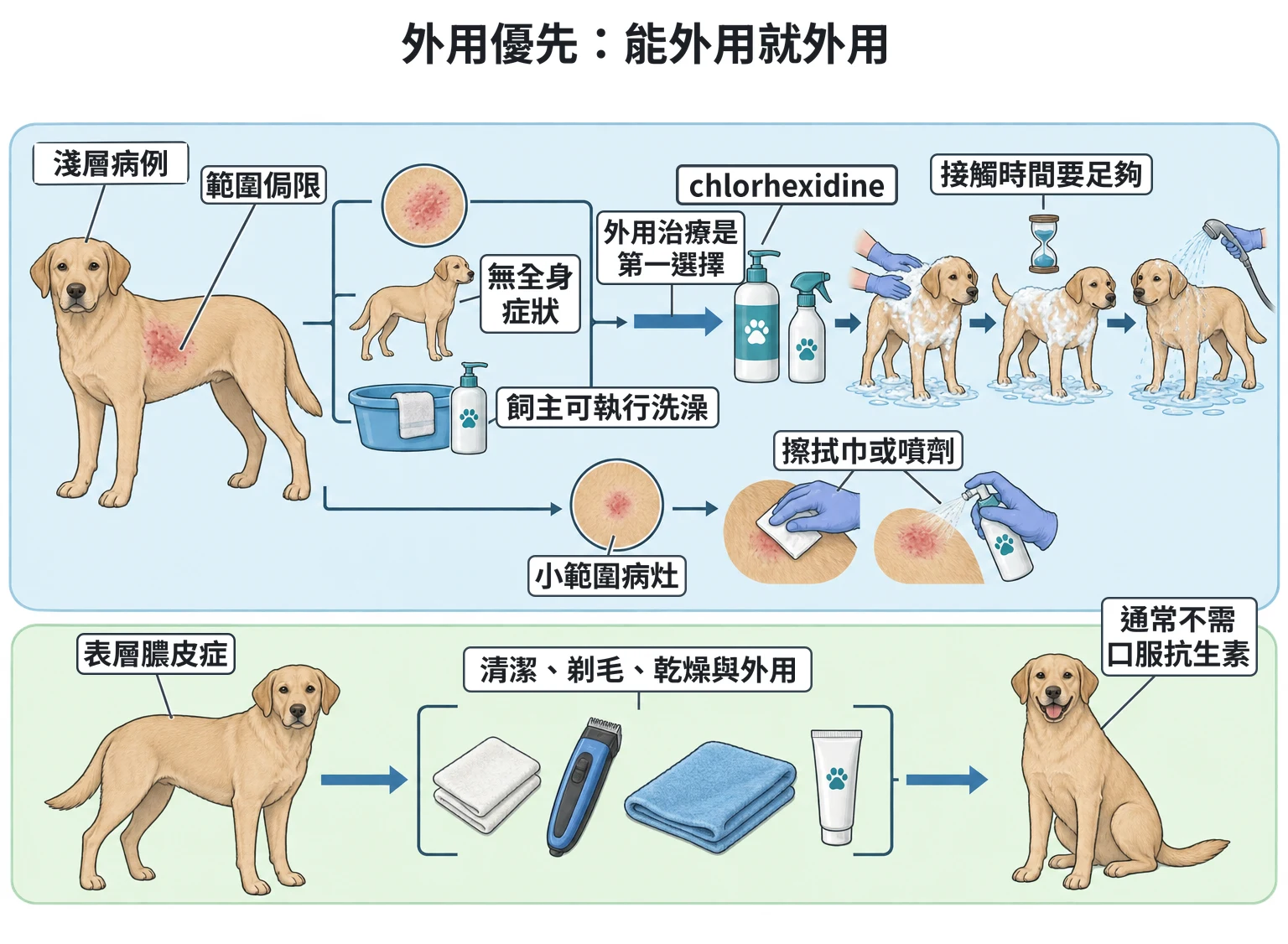 外用優先:能外用就外用教學插圖