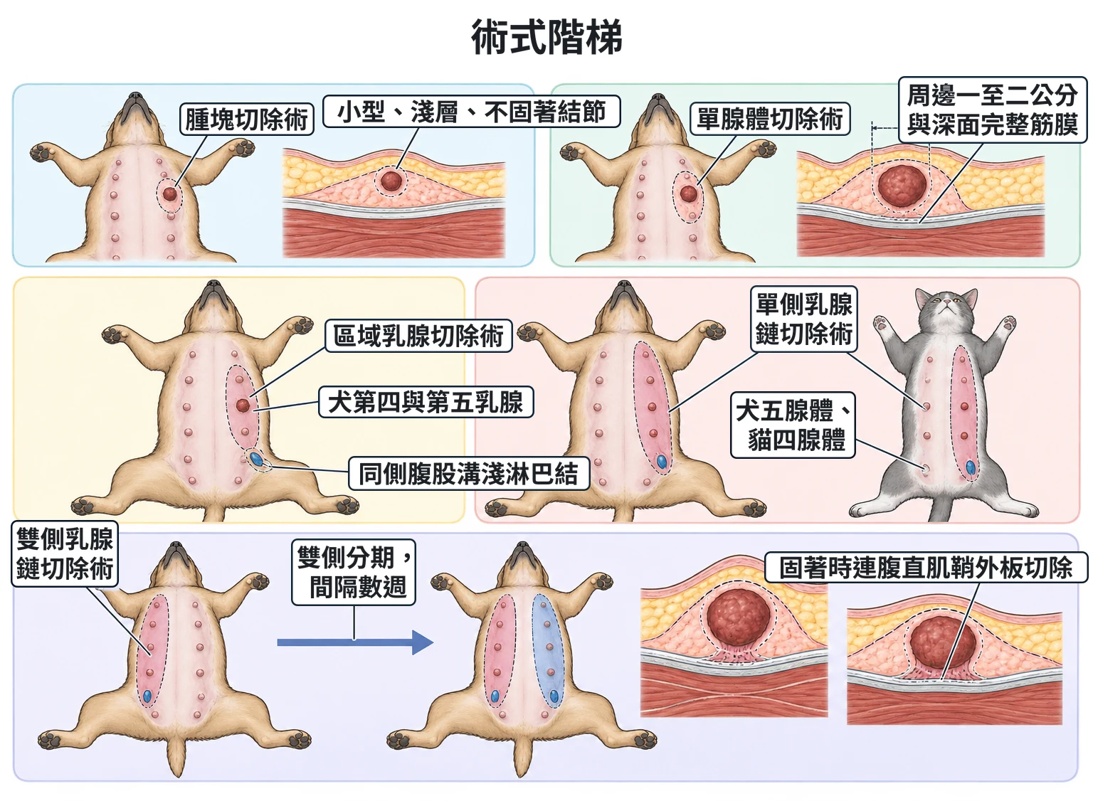 術式階梯教學插圖