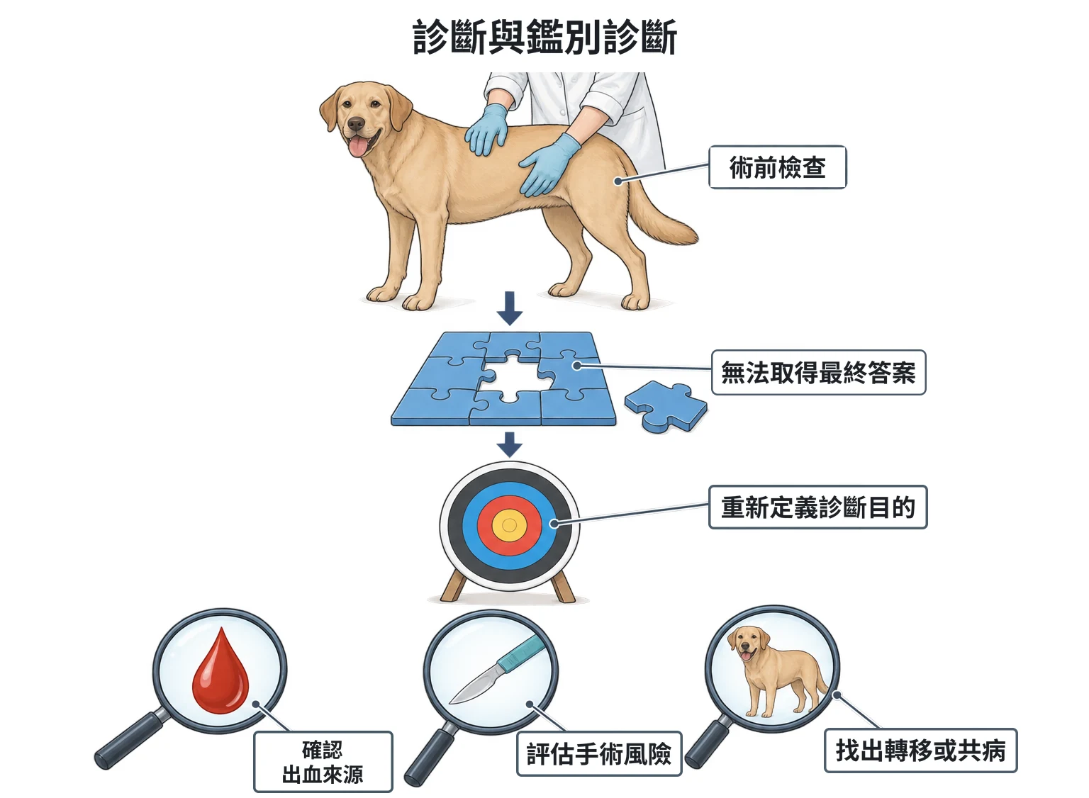 診斷與鑑別診斷教學插圖
