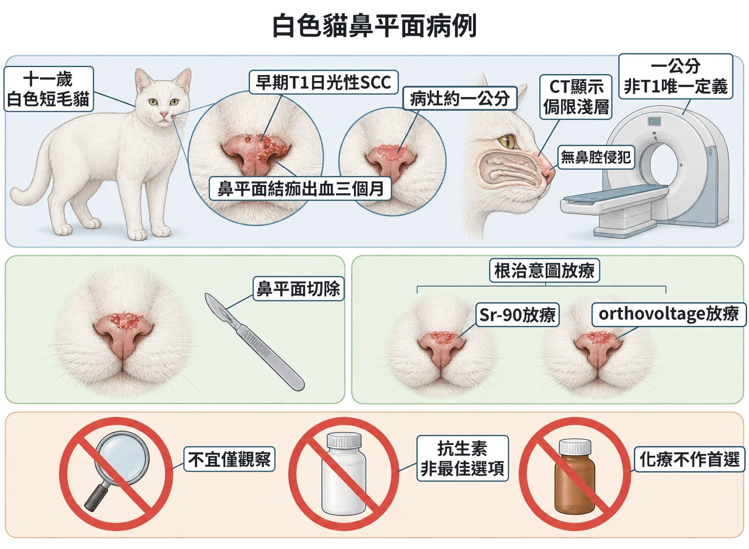 白色貓鼻平面病例教學插圖
