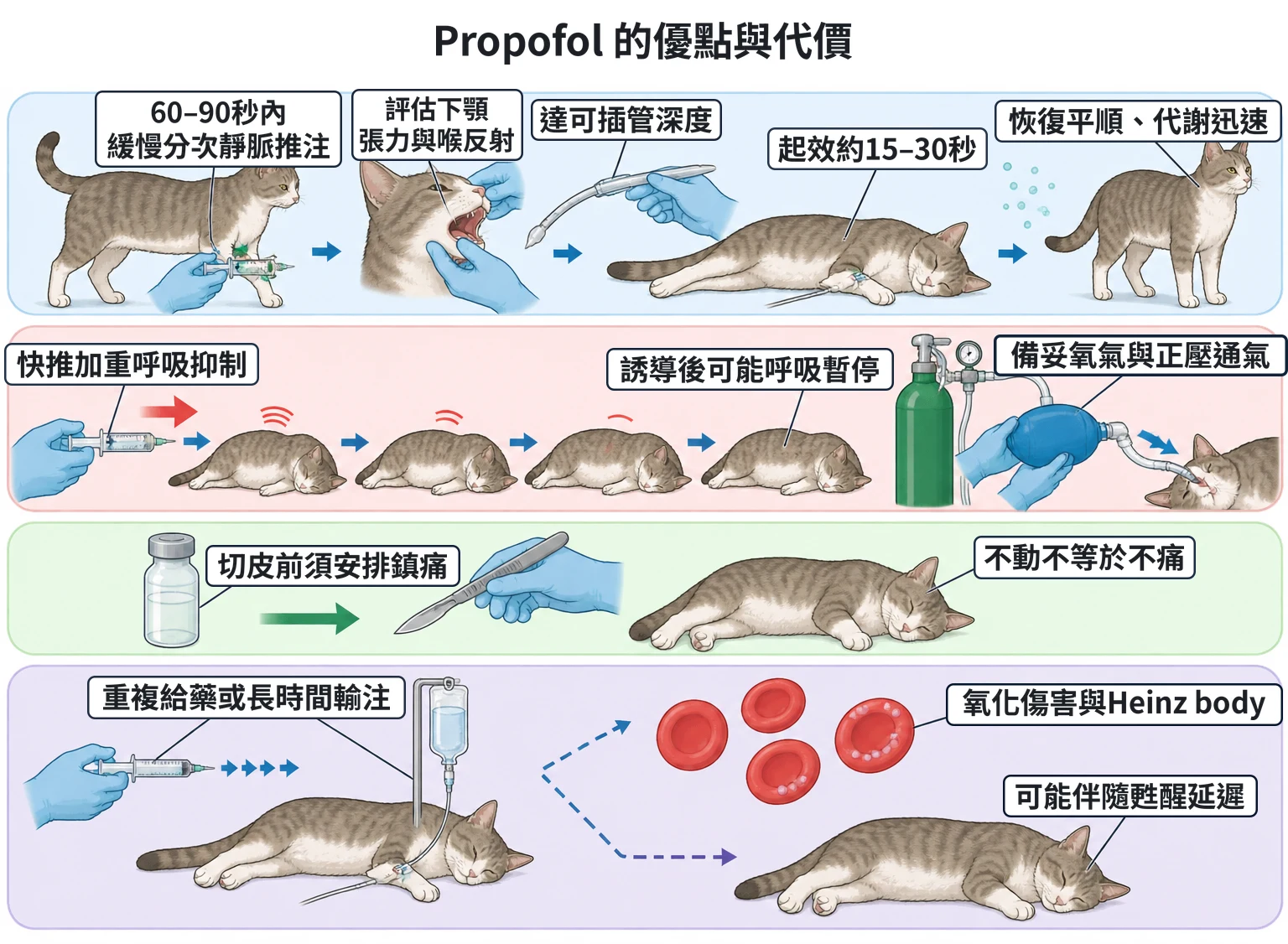 Propofol 的優點與代價教學插圖