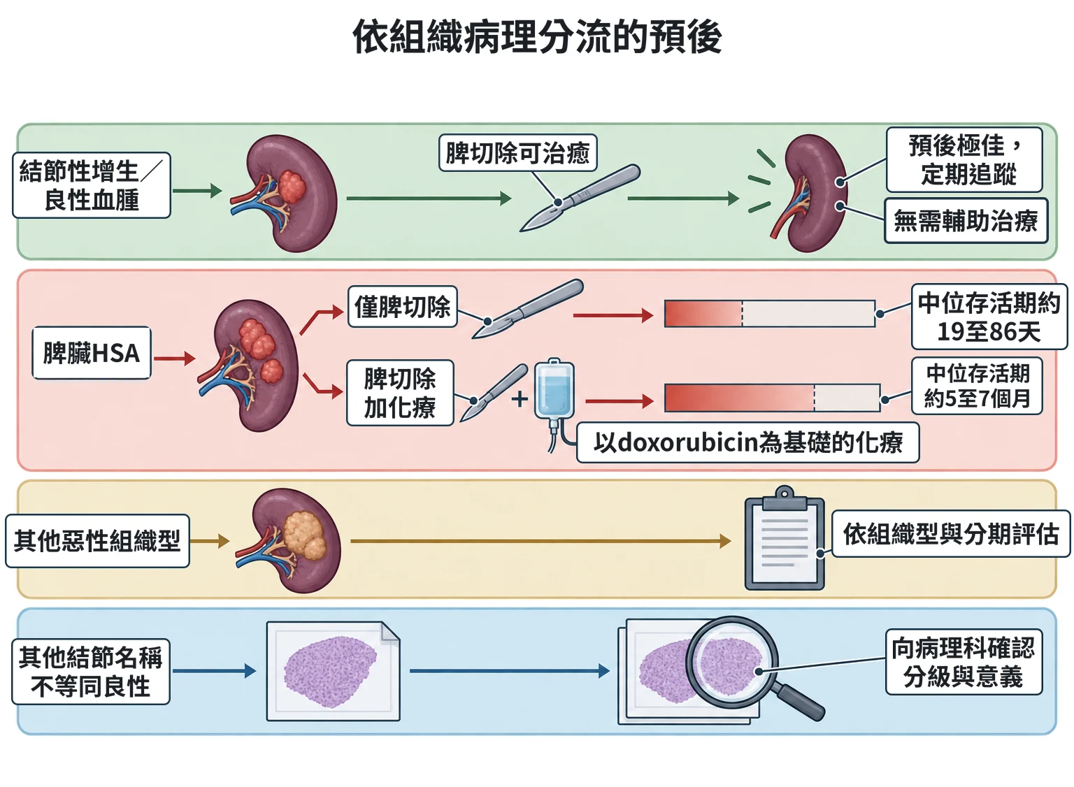 依組織病理分流的預後教學插圖