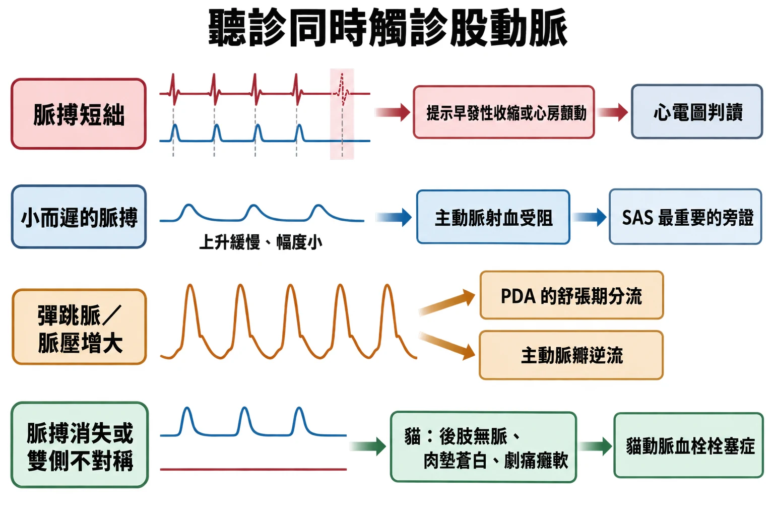 聽診同時觸診股動脈教學插圖