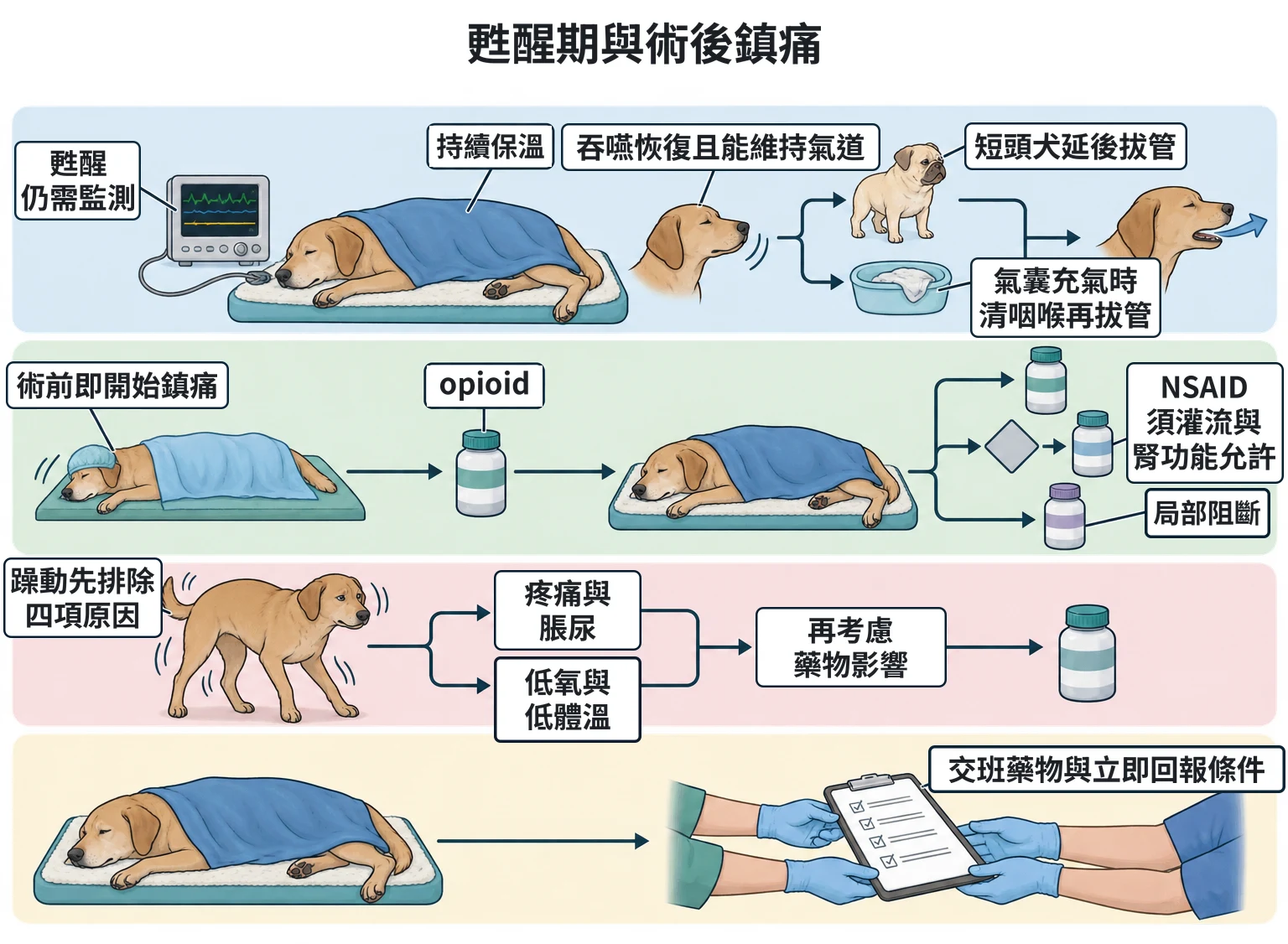 甦醒期與術後鎮痛教學插圖
