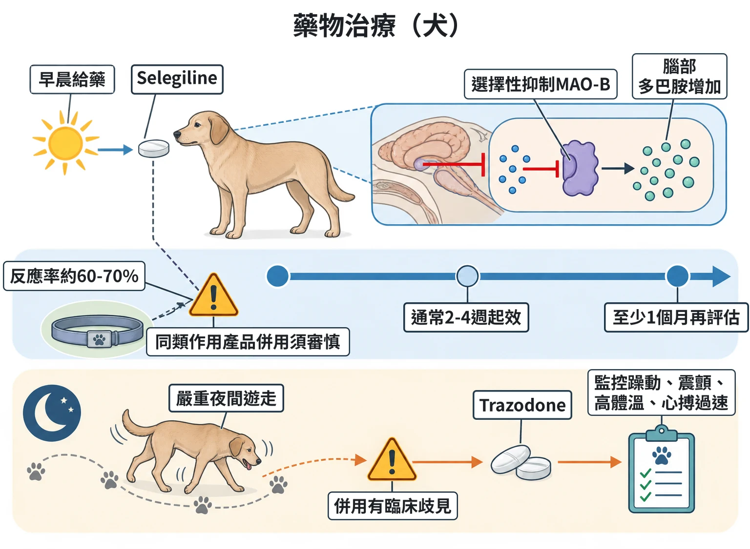 藥物治療(犬)教學插圖