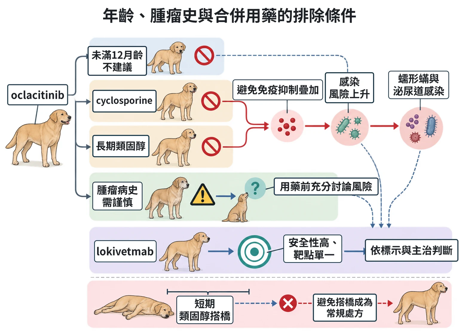 年齡、腫瘤史與合併用藥的排除條件教學插圖