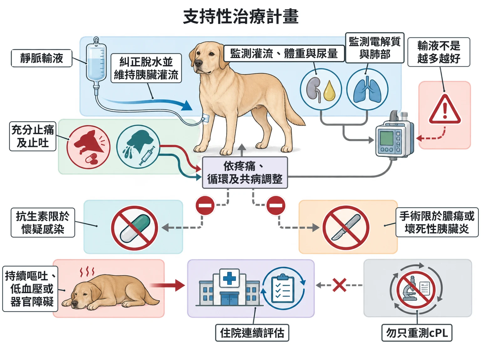 支持性治療計畫教學插圖
