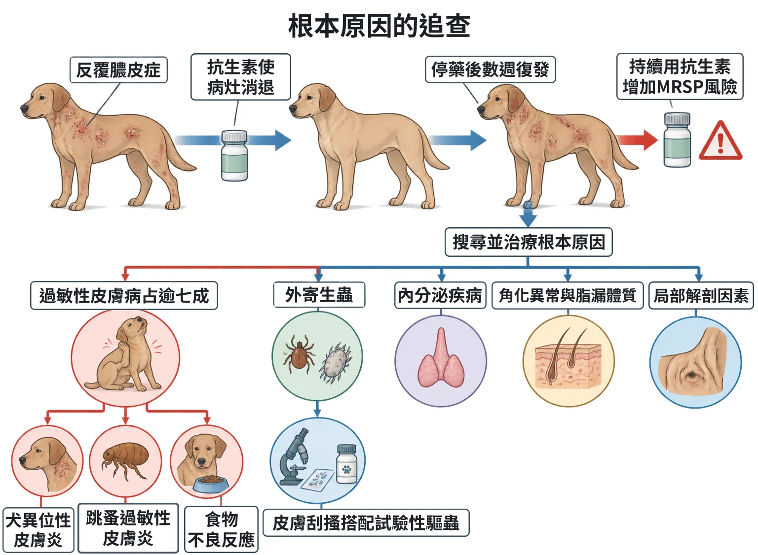 根本原因的追查教學插圖