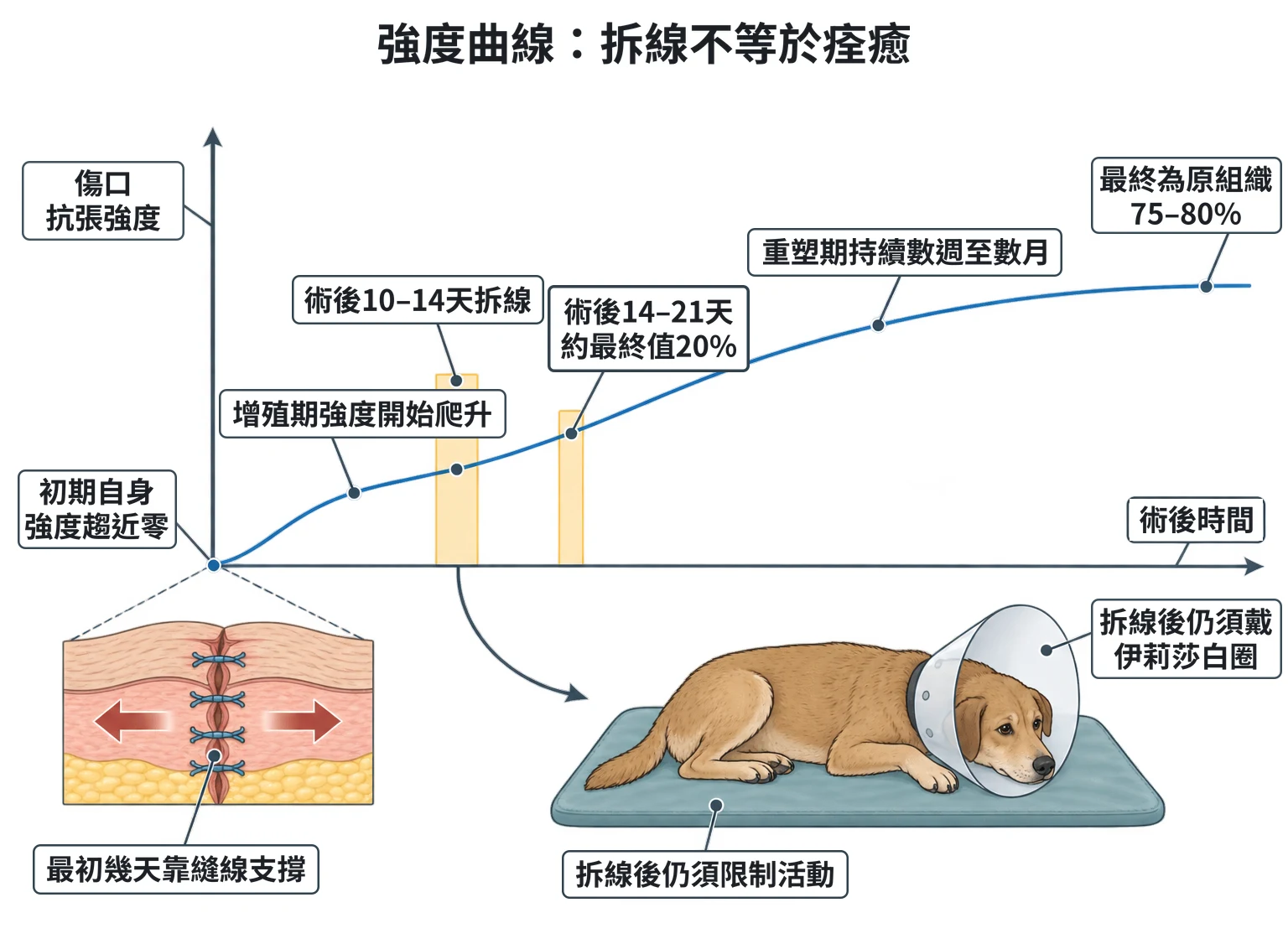 強度曲線:拆線不等於痊癒教學插圖