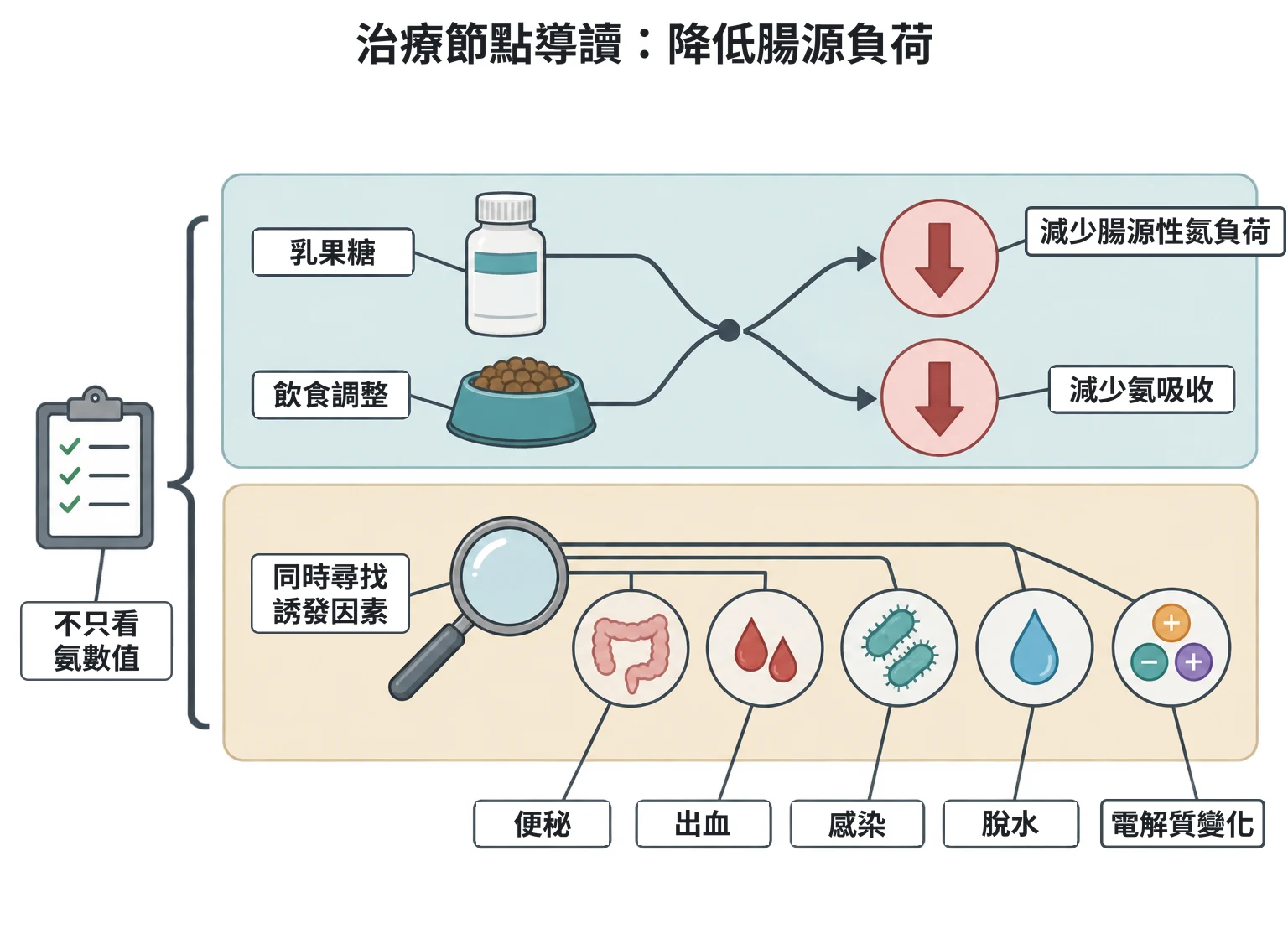 治療節點導讀:降低腸源負荷教學插圖