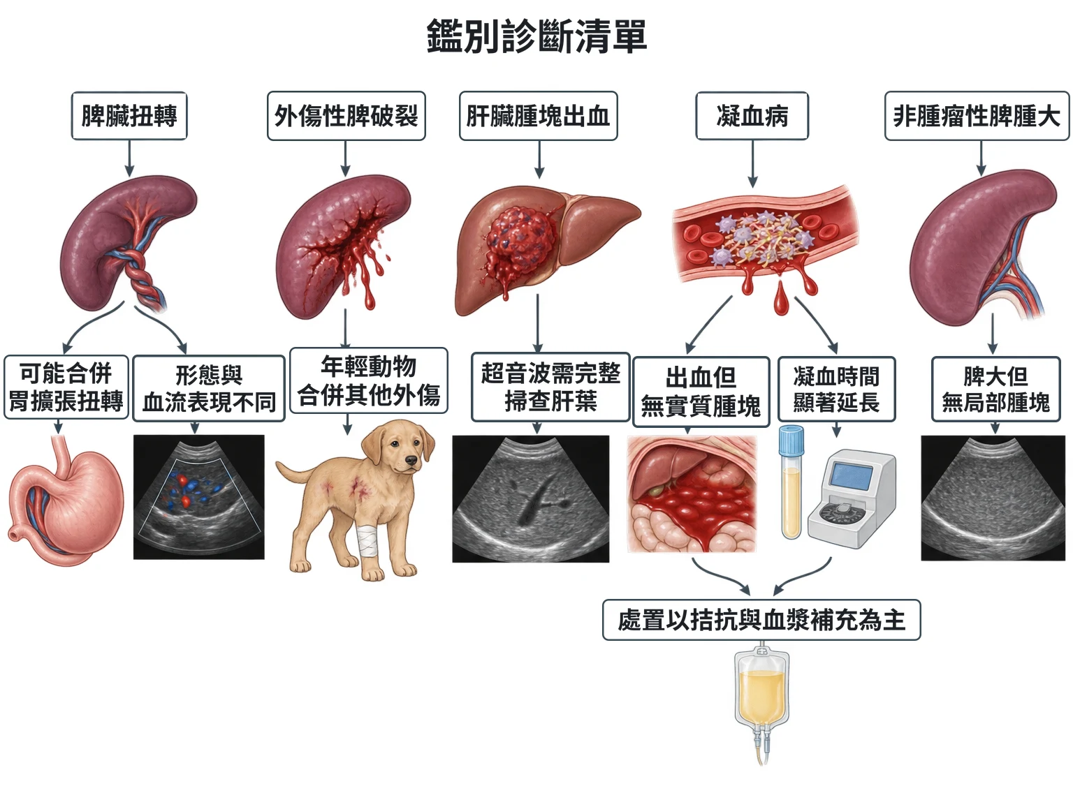 鑑別診斷清單教學插圖