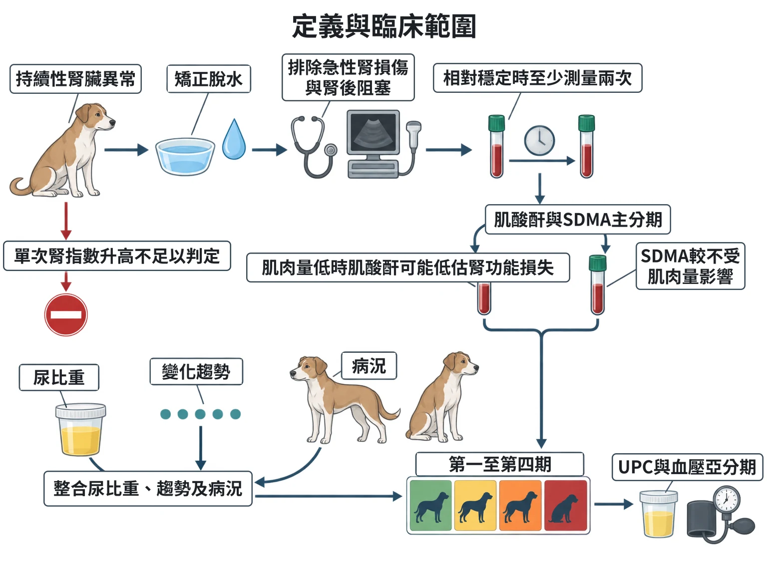 定義與臨床範圍教學插圖
