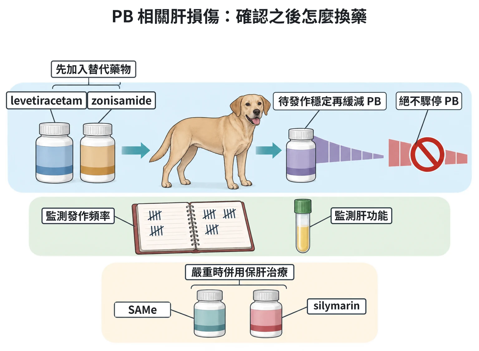 PB 相關肝損傷:確認之後怎麼換藥教學插圖