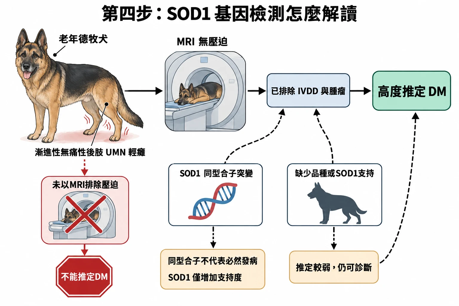 第四步:SOD1 基因檢測怎麼解讀教學插圖