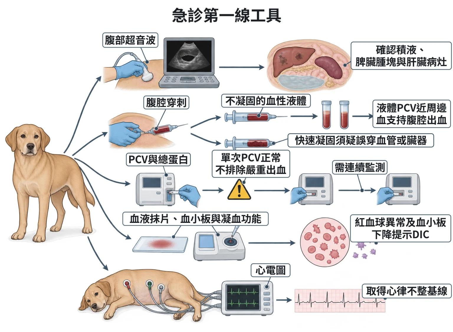 急診第一線工具教學插圖