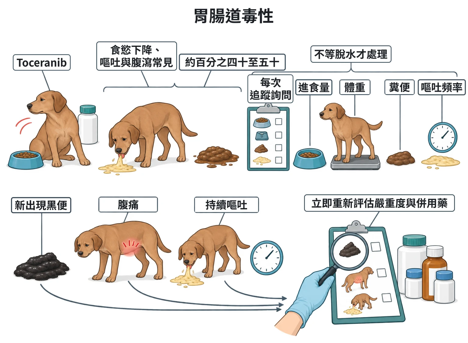 胃腸道毒性教學插圖