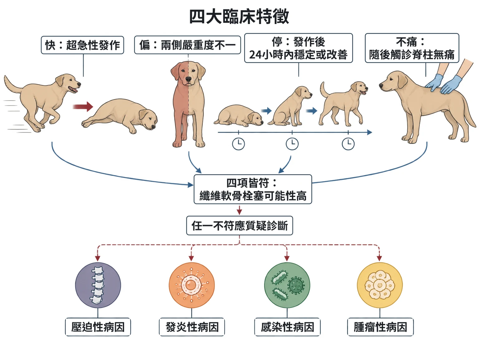 四大臨床特徵教學插圖