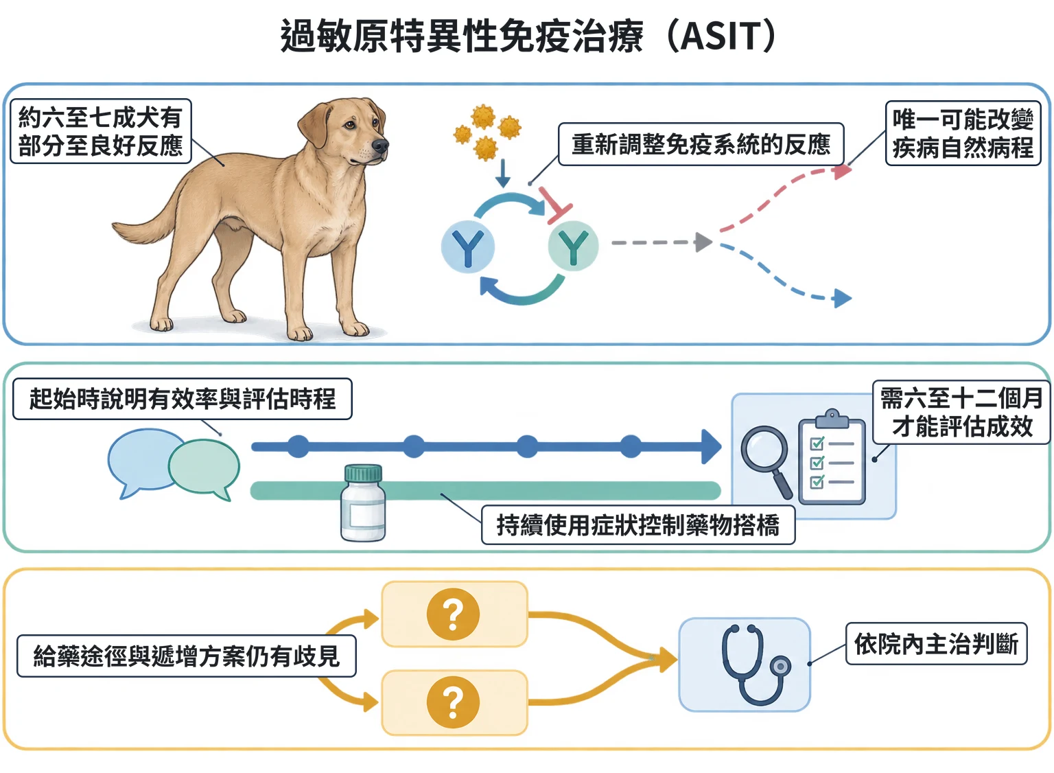 過敏原特異性免疫治療(ASIT)教學插圖