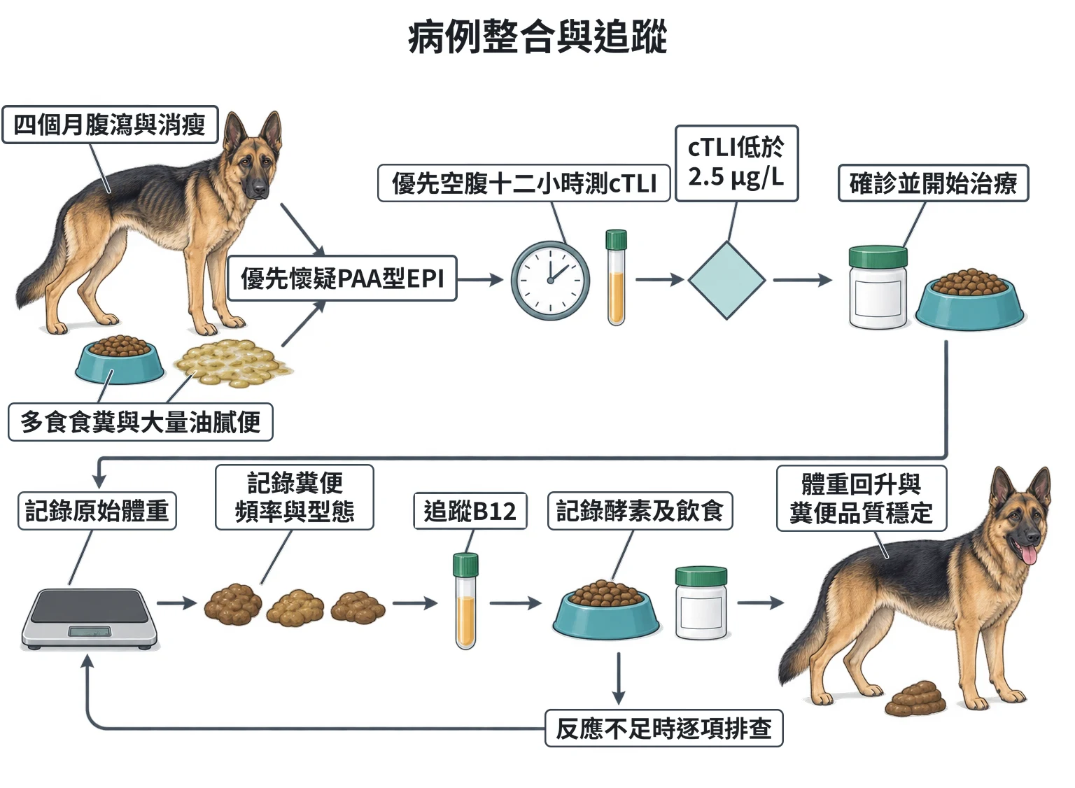 病例整合與追蹤教學插圖