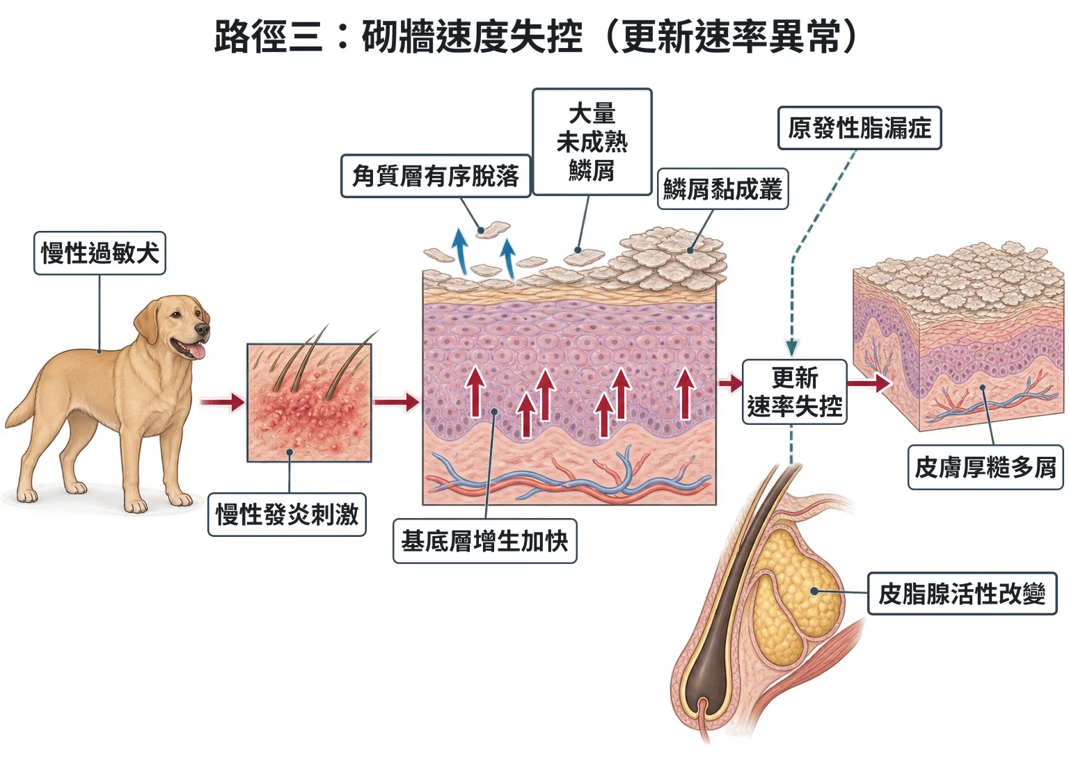路徑三:砌牆速度失控(更新速率異常)教學插圖