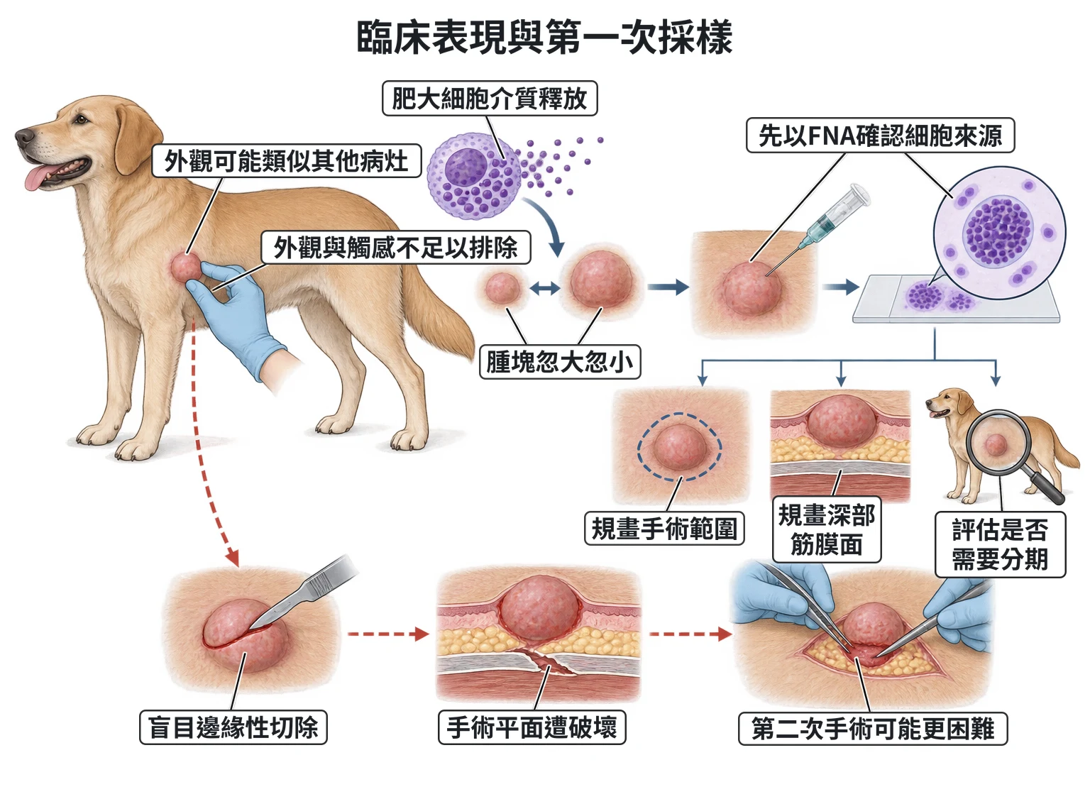 臨床表現與第一次採樣教學插圖