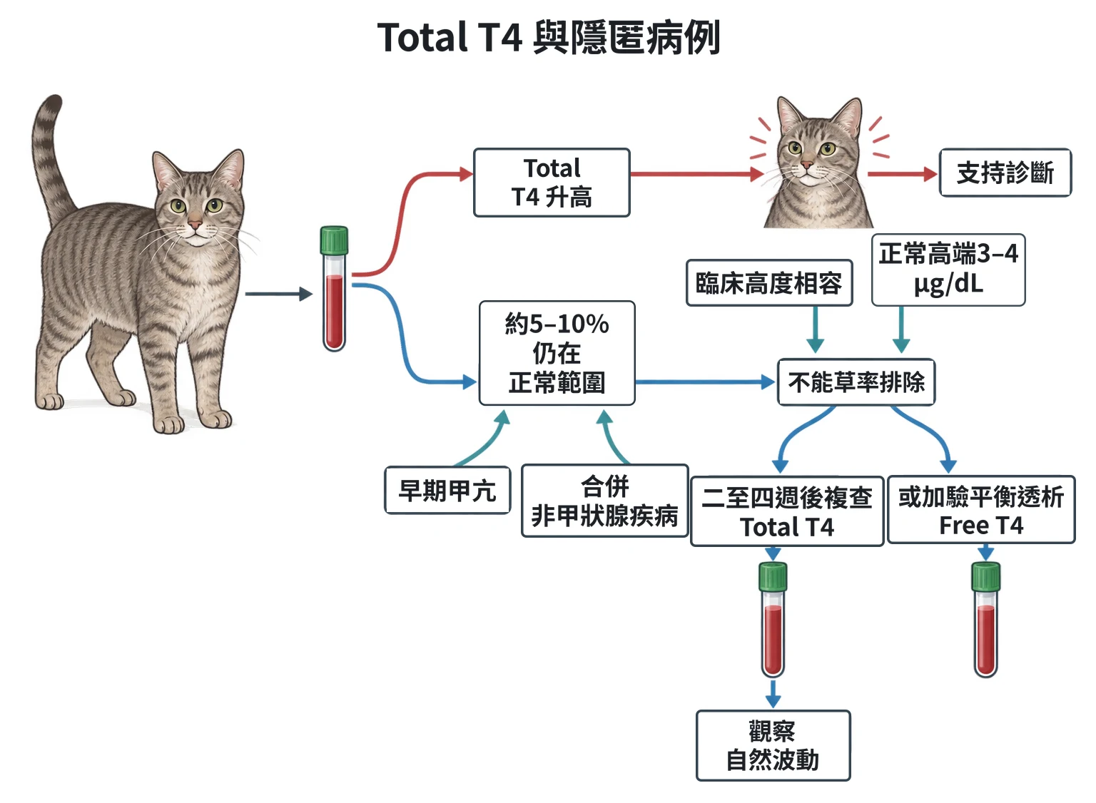 Total T4 與隱匿病例教學插圖