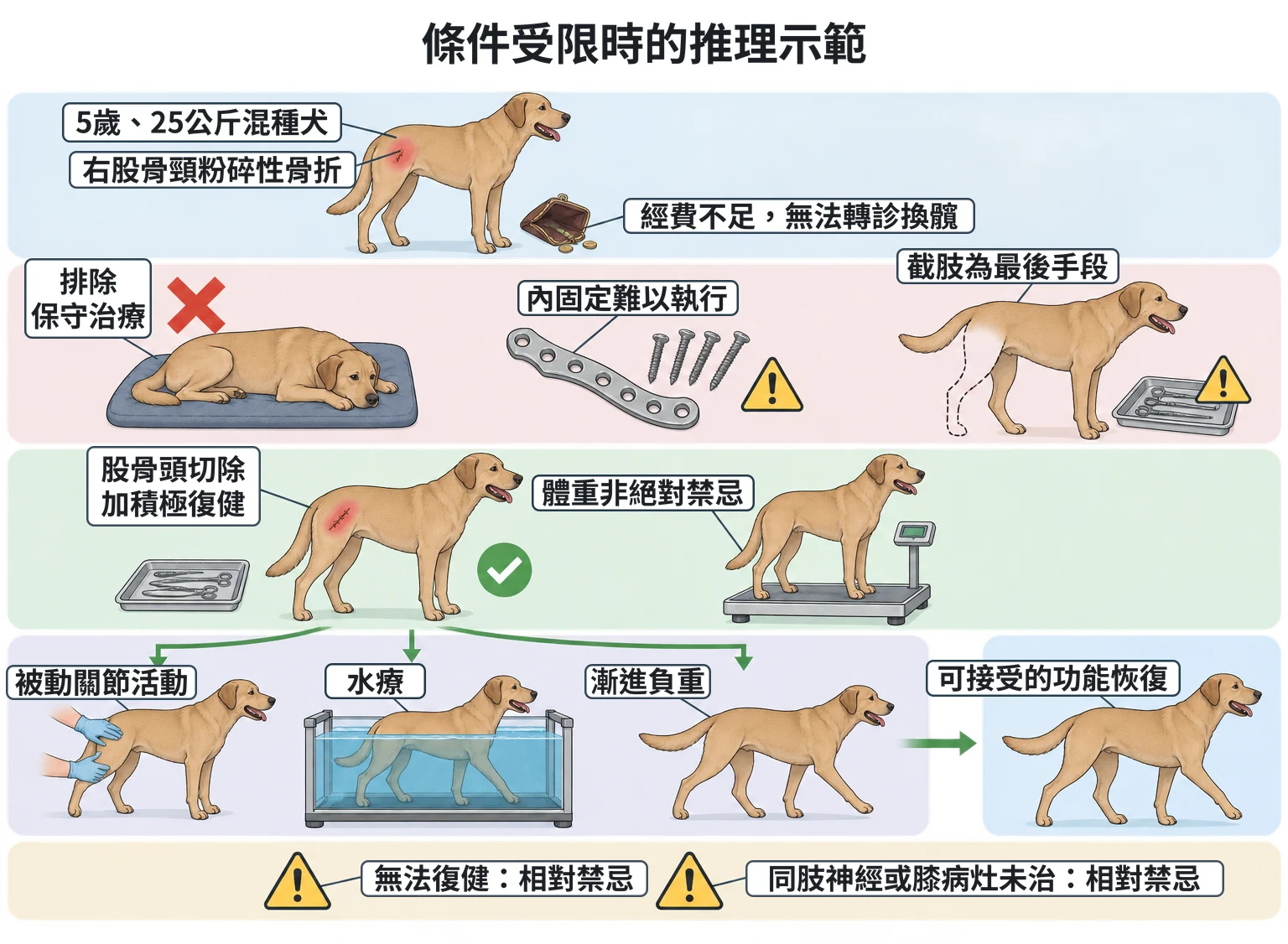 條件受限時的推理示範教學插圖