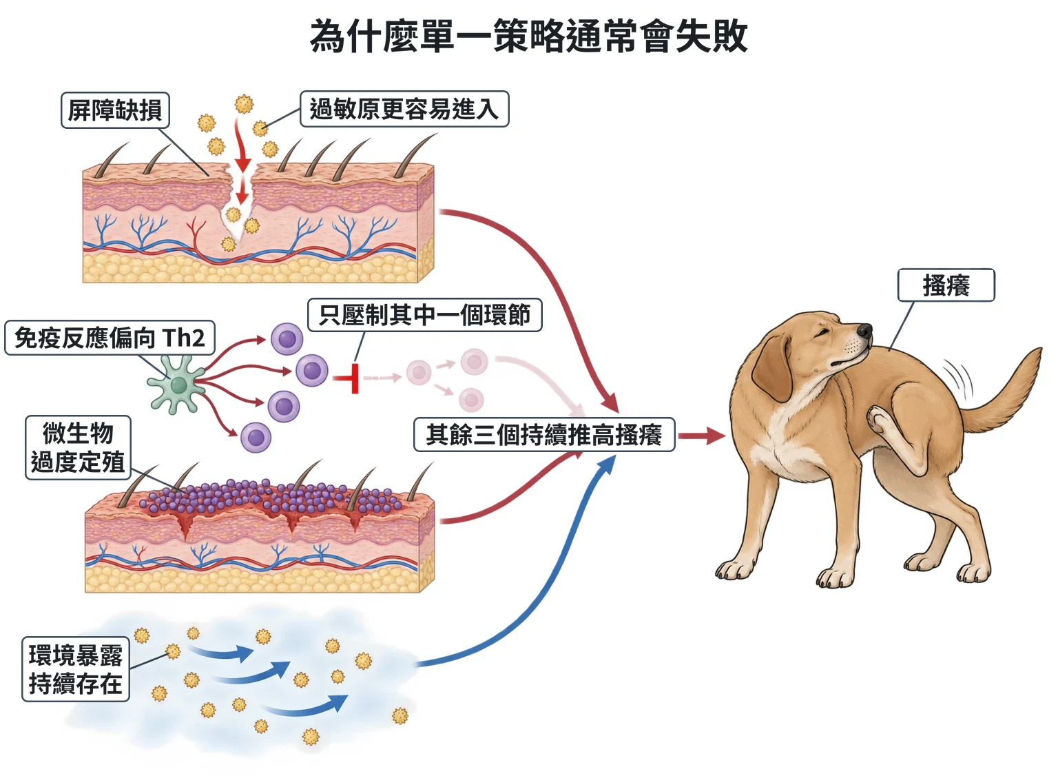 為什麼單一策略通常會失敗教學插圖