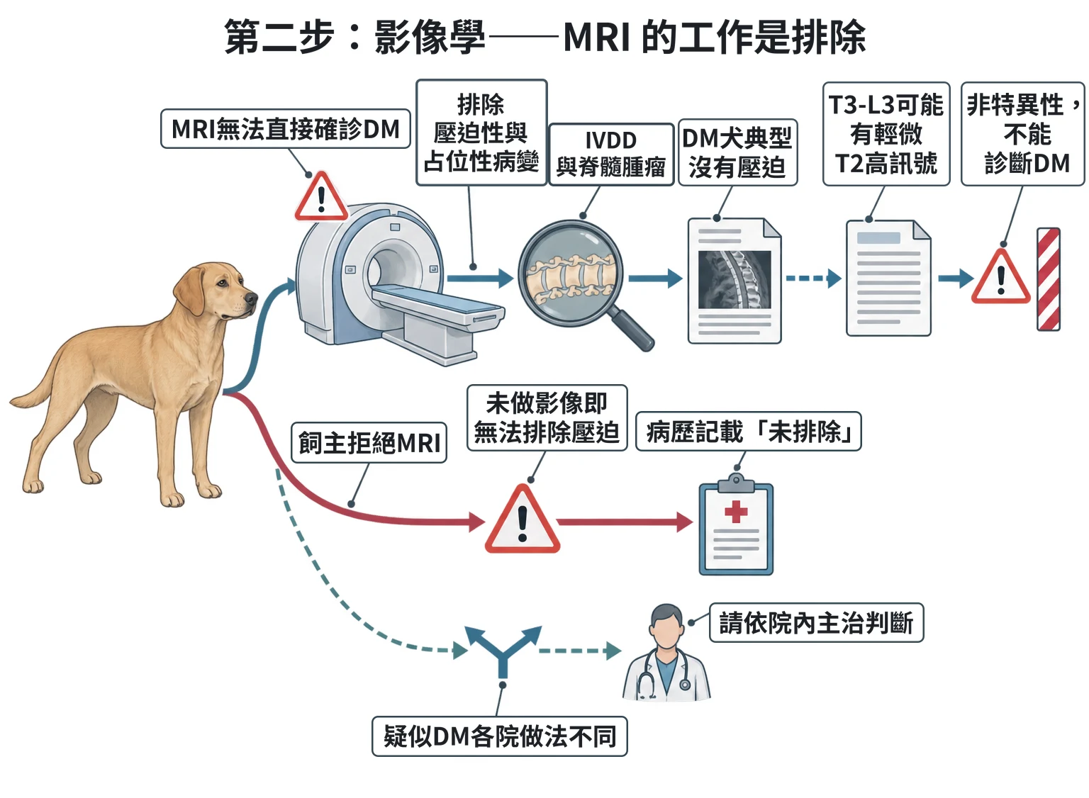 第二步:影像學——MRI 的工作是排除教學插圖