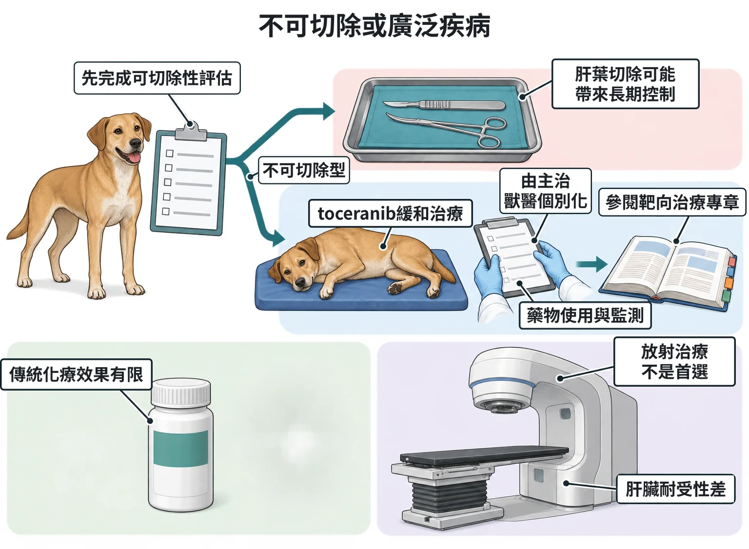 不可切除或廣泛疾病教學插圖