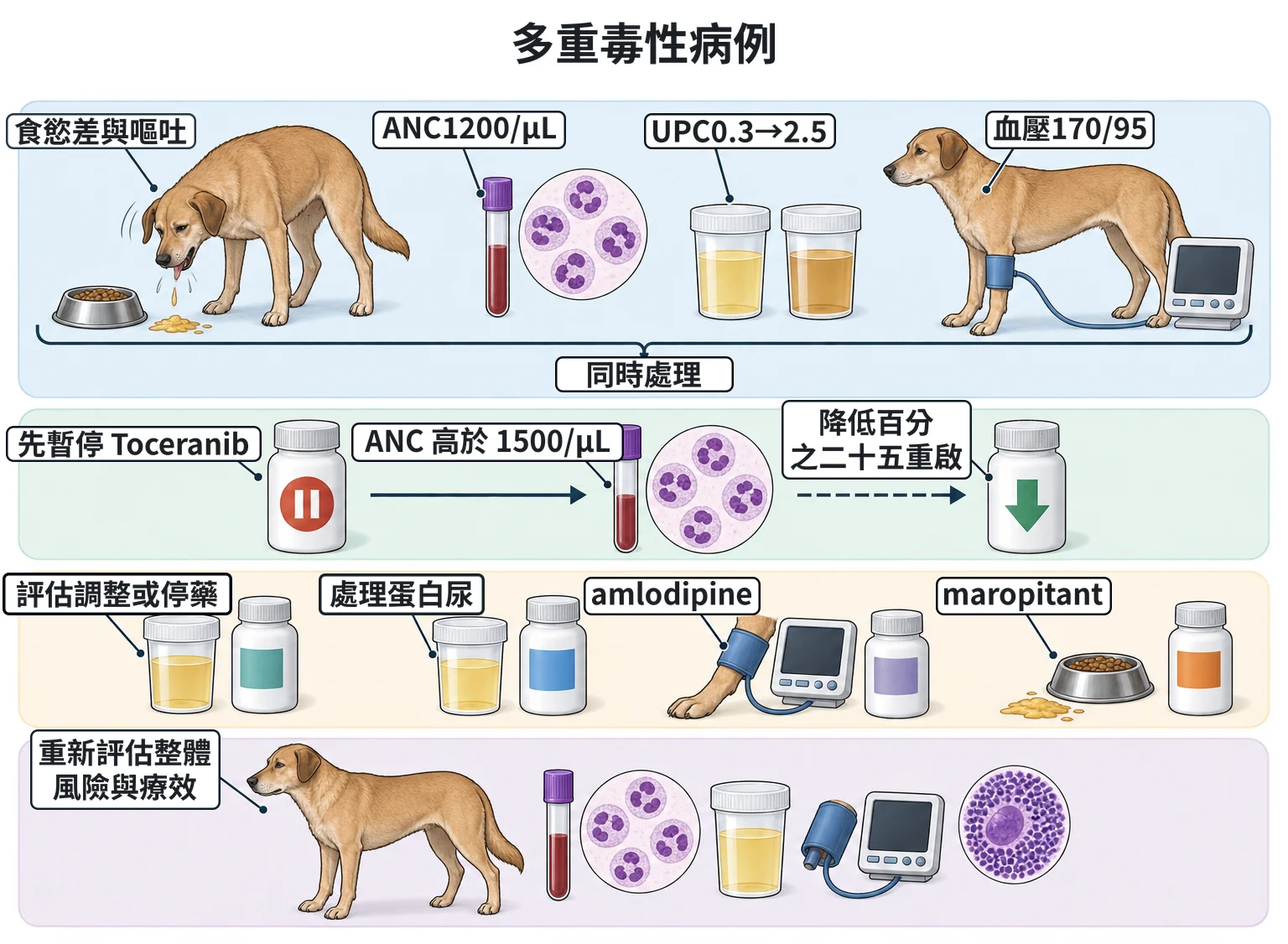 多重毒性病例教學插圖