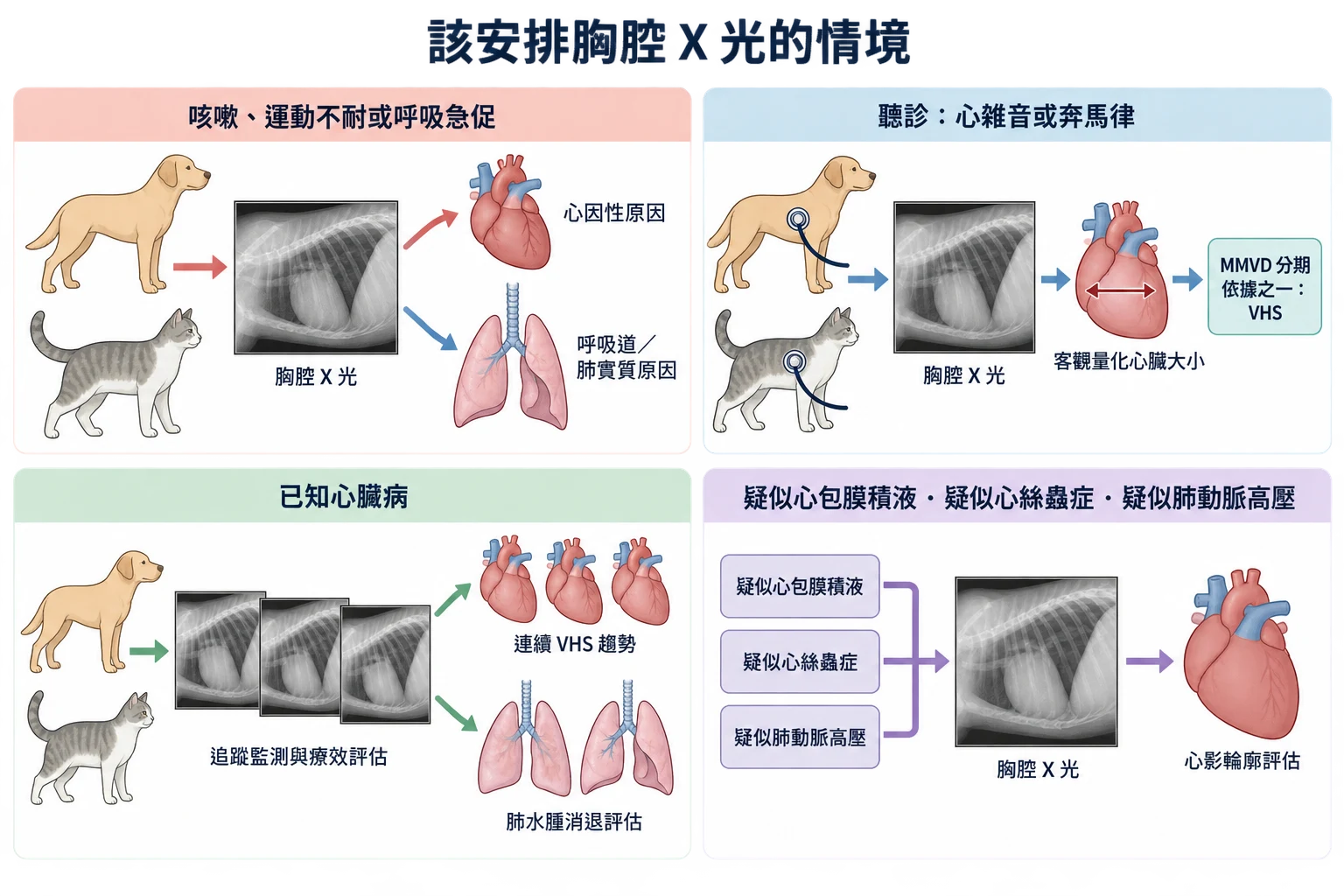 該安排胸腔 X 光的情境教學插圖
