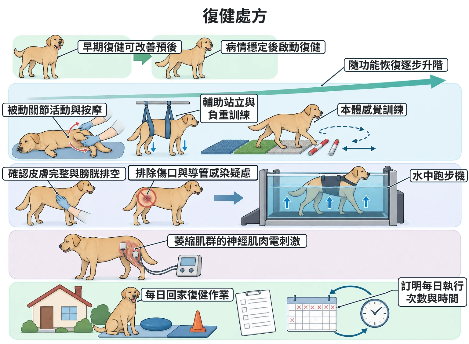 復健處方教學插圖