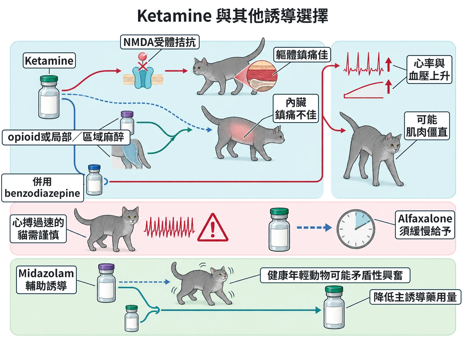 Ketamine 與其他誘導選擇教學插圖