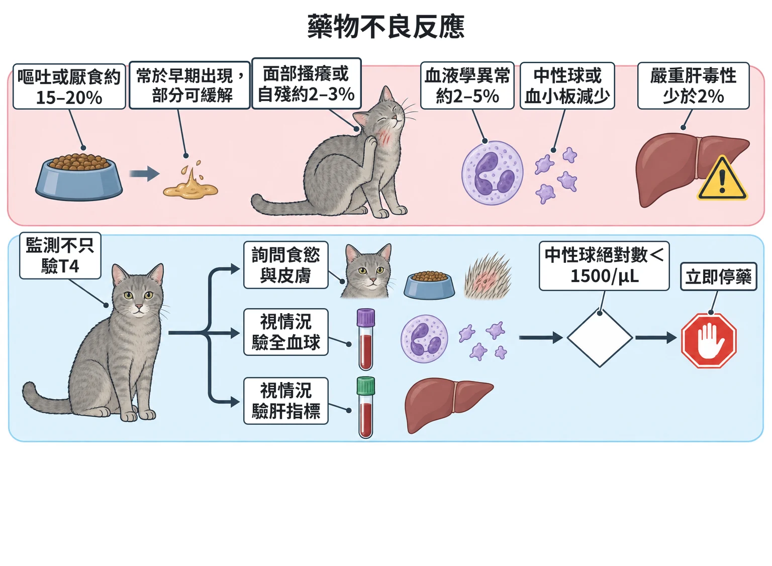 藥物不良反應教學插圖