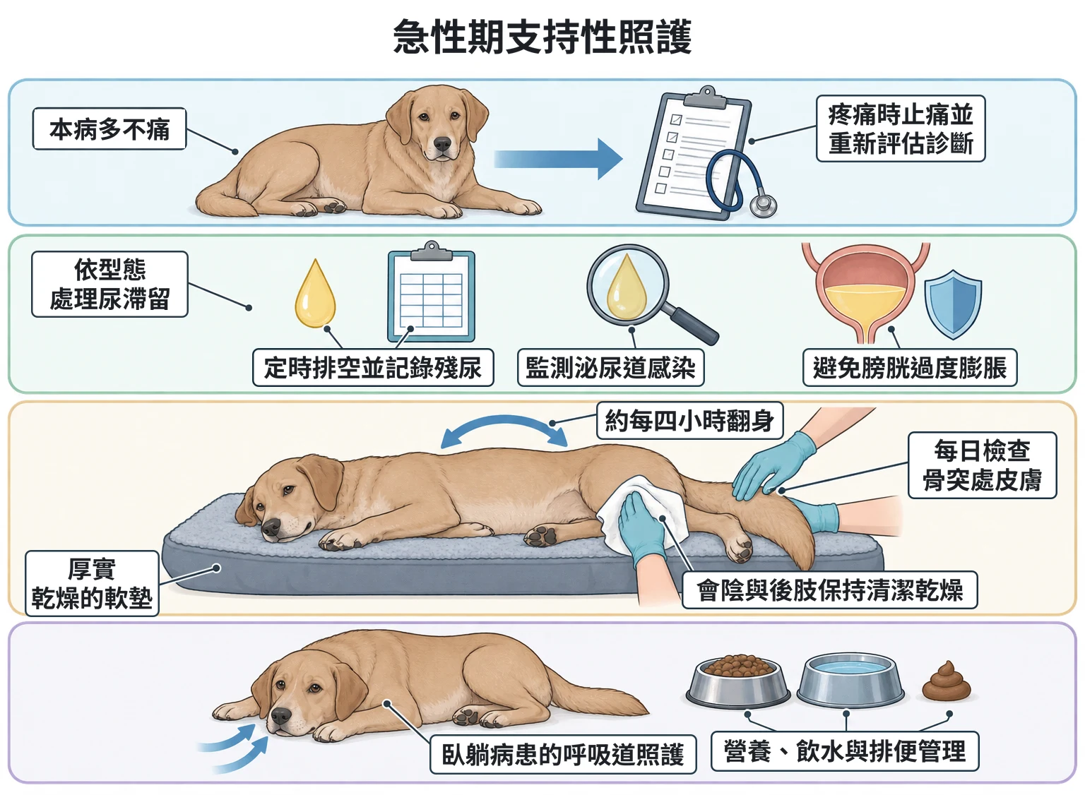 急性期支持性照護教學插圖