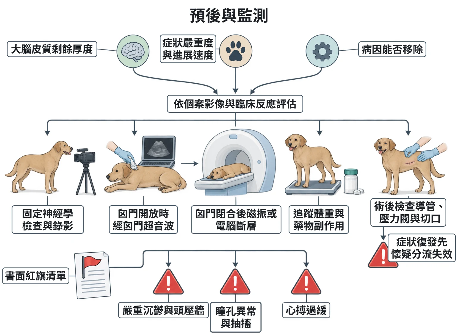 預後與監測教學插圖