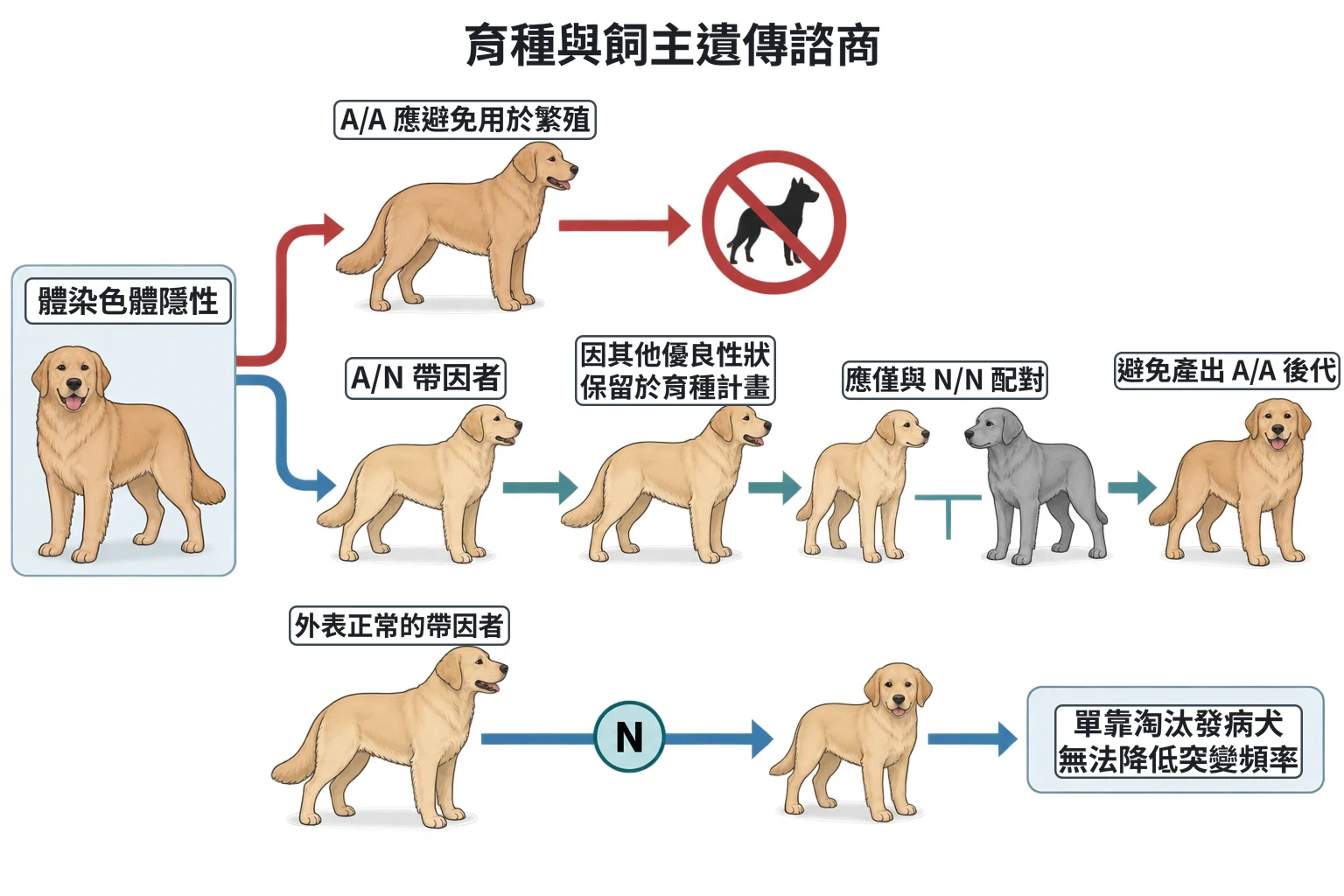 育種與飼主遺傳諮商教學插圖