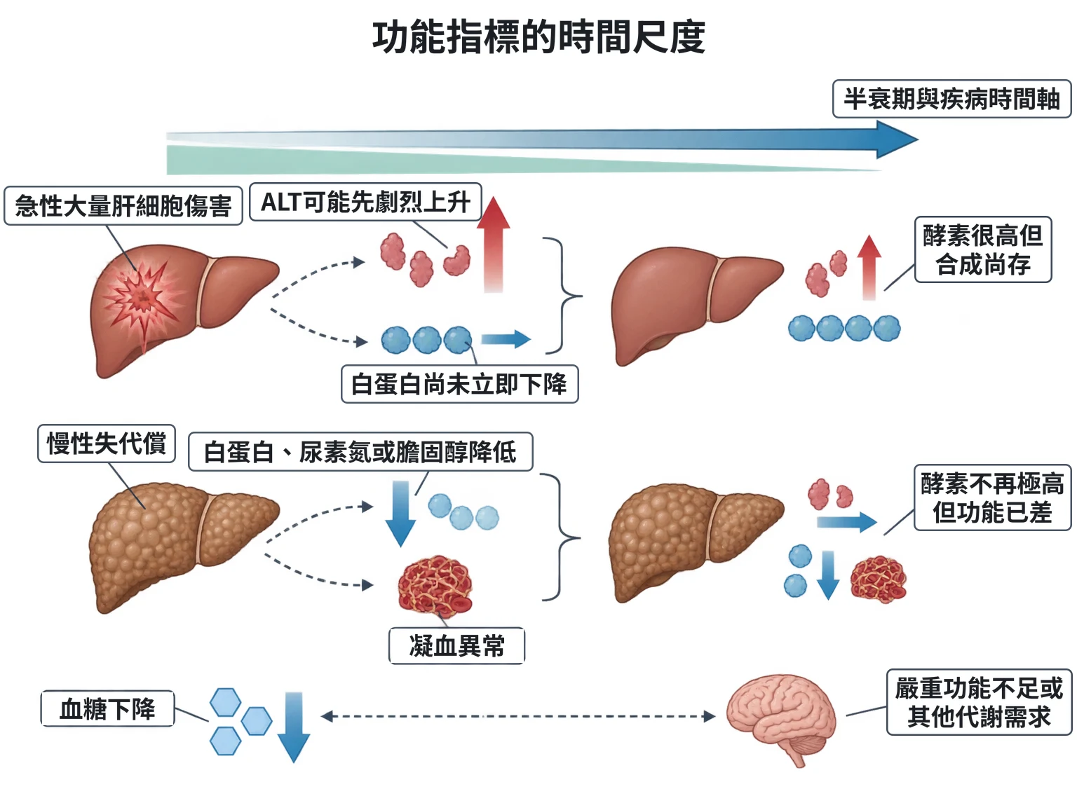 功能指標的時間尺度教學插圖