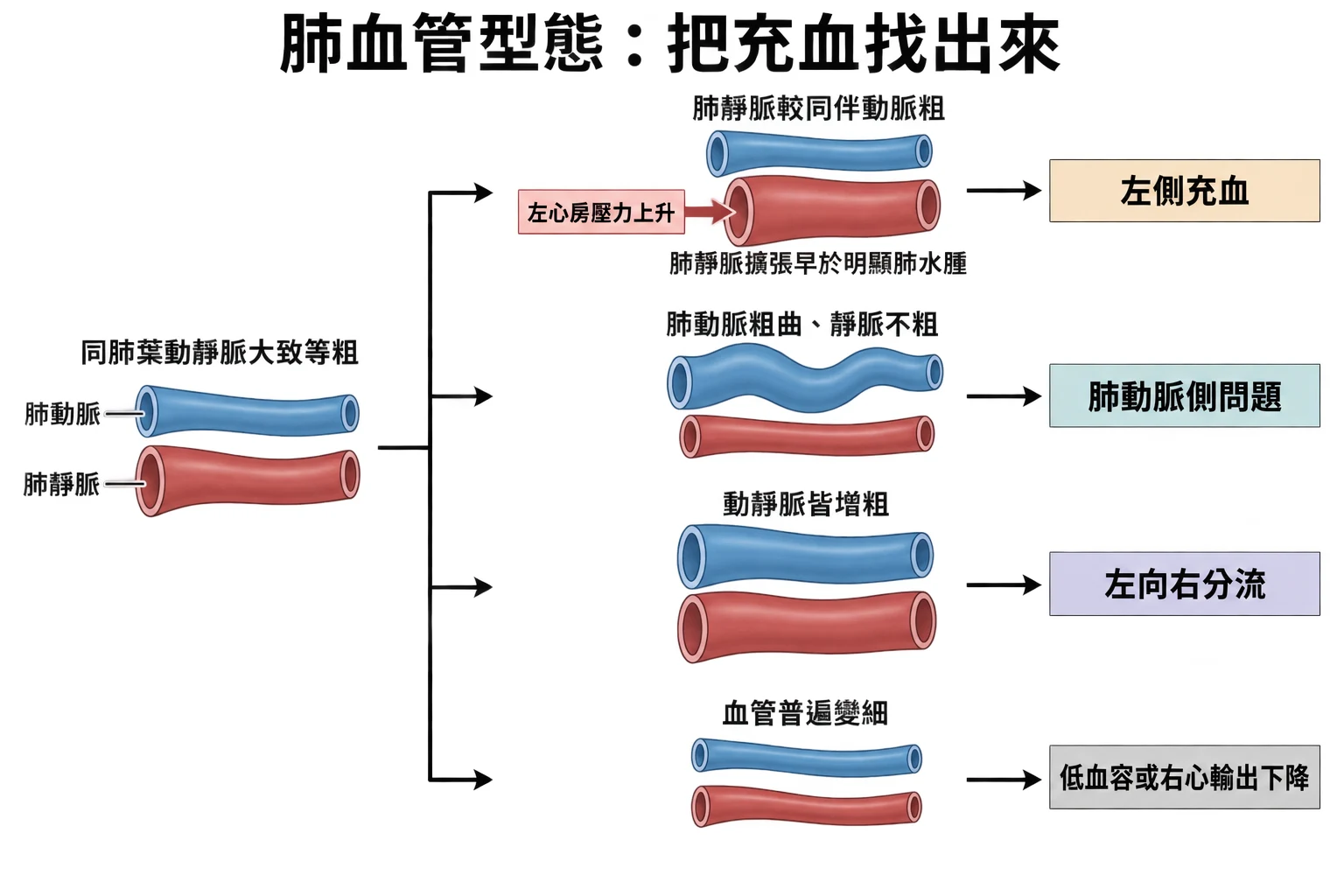 肺血管型態:把充血找出來教學插圖