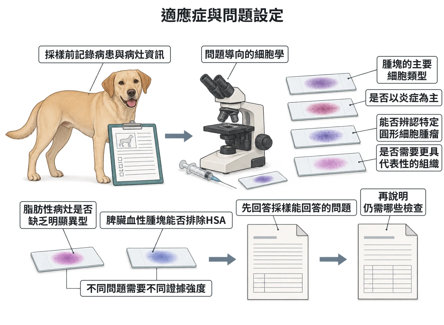適應症與問題設定教學插圖